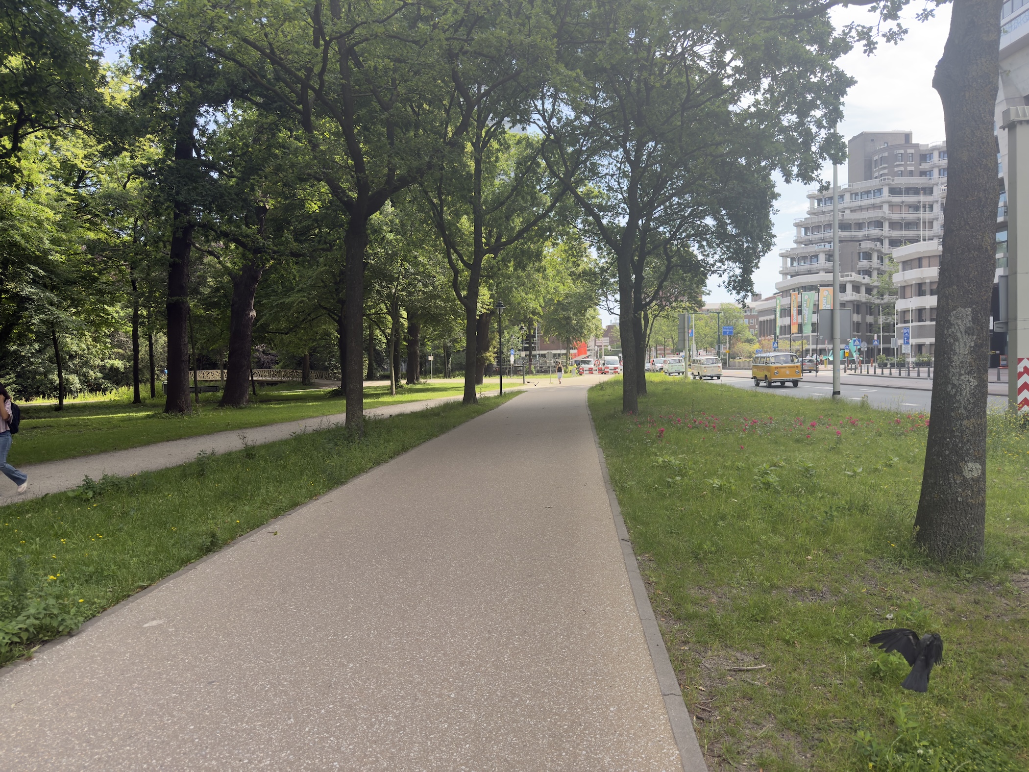 Tarmac cycle path through a leafy city park beside a busy road and tower blocks.