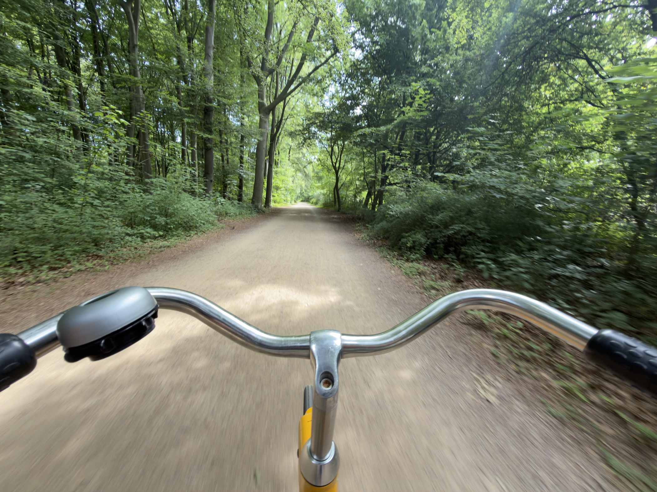 Handlebar view of a bicycle speeding along a sandy woodland track.