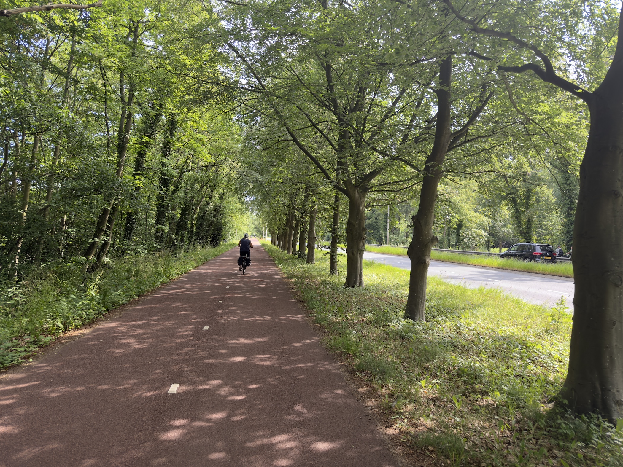 Red asphalt cycle path with a lone cyclist beneath an avenue of trees beside a road.
