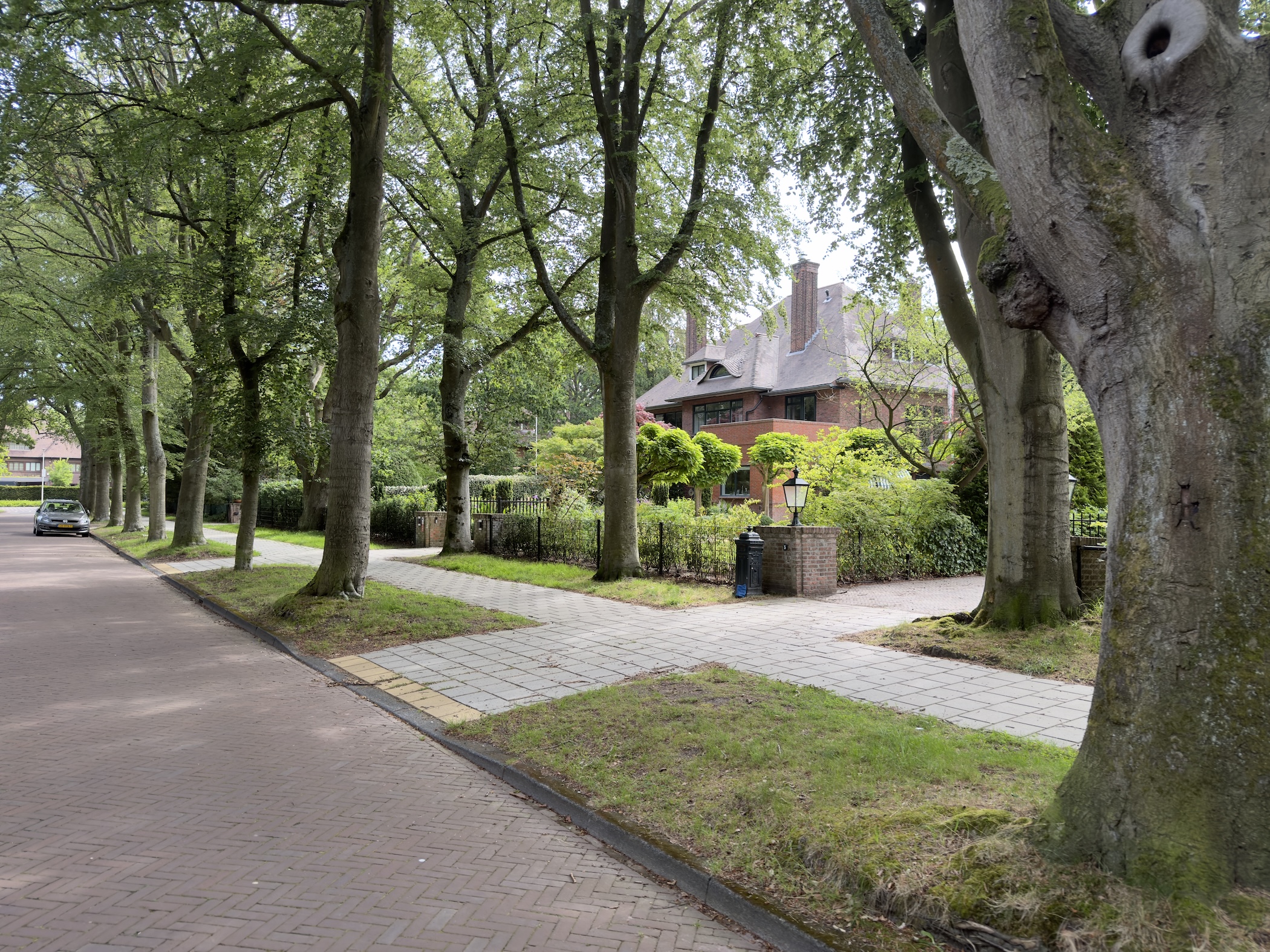 Tree-lined residential lane with paved verges and a brick house glimpsed through foliage.