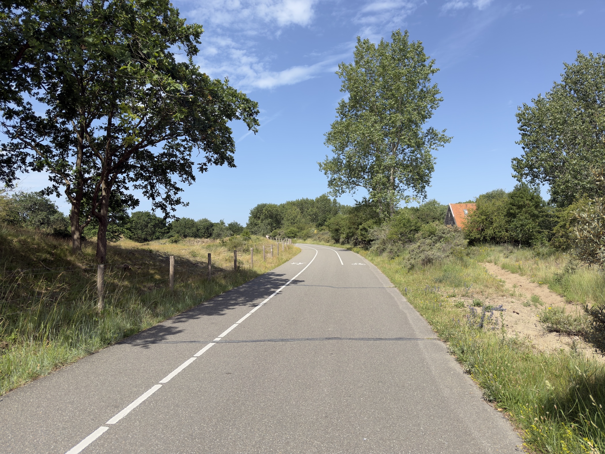 Quiet tarmac cycle road winding through low dune scrub under deep blue summer sky.