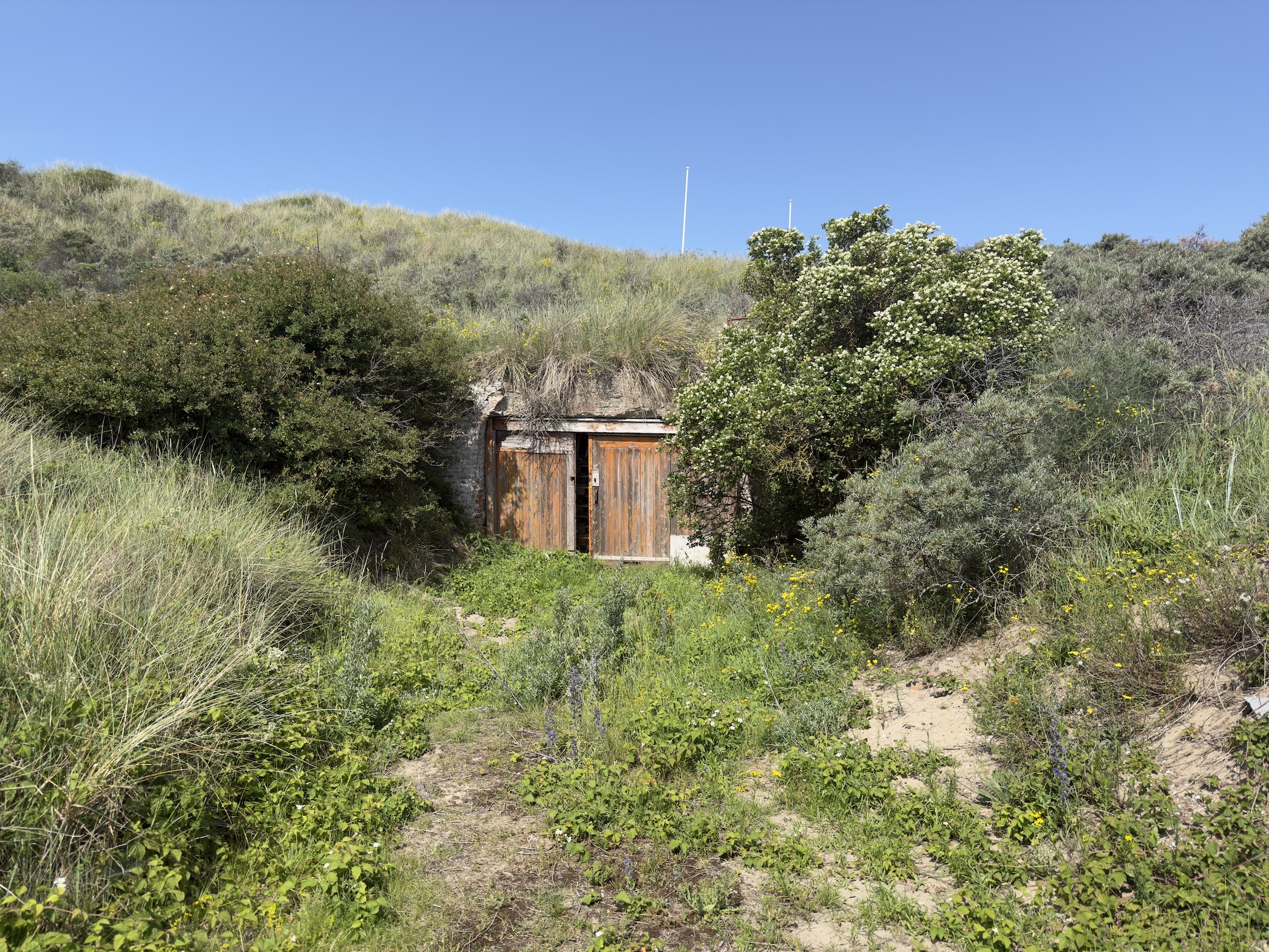 A weathered wooden door set into a grassy dune, a former bunker entrance.