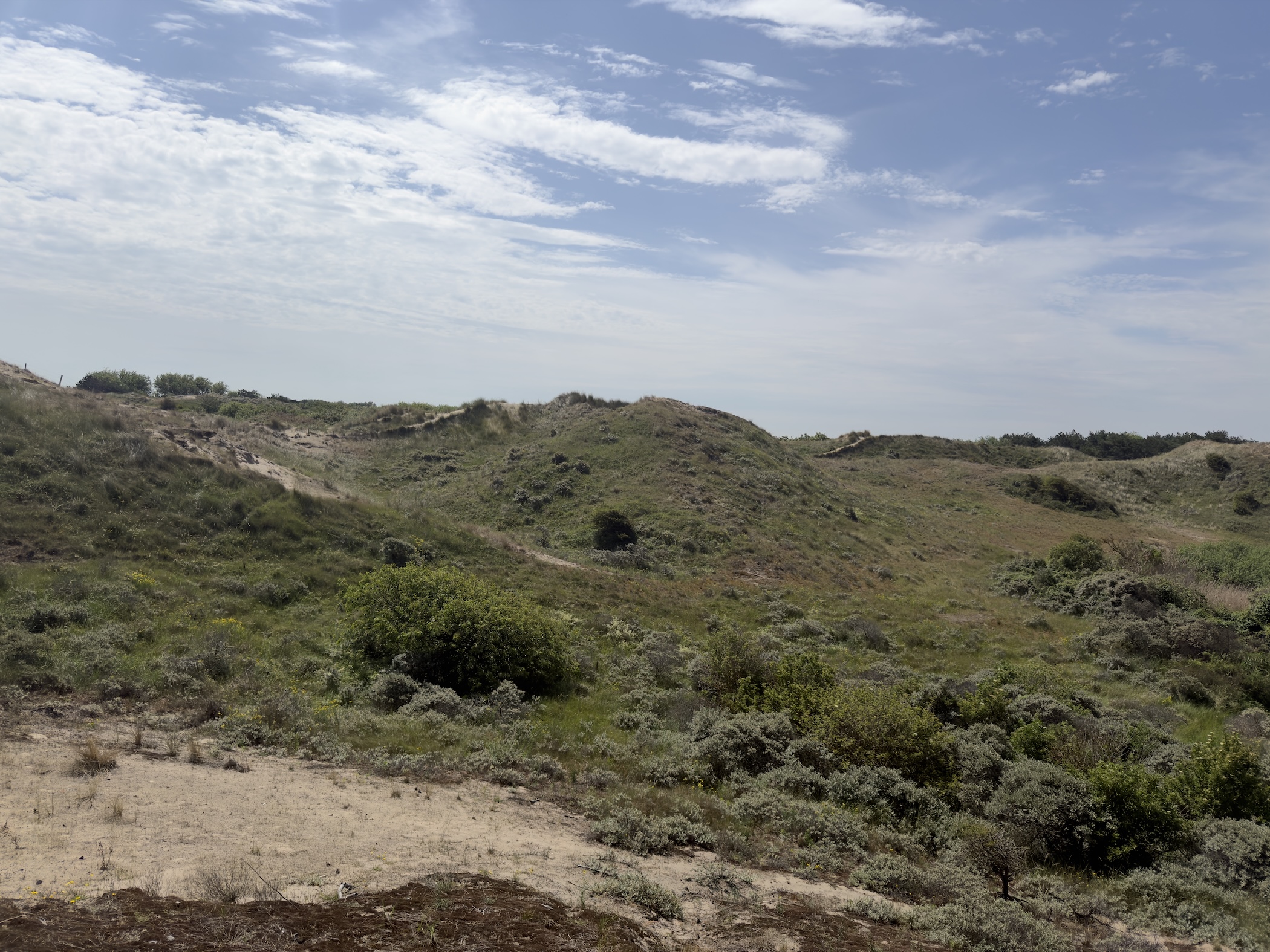 Bare and vegetated dune hummocks under a partly clouded sky.