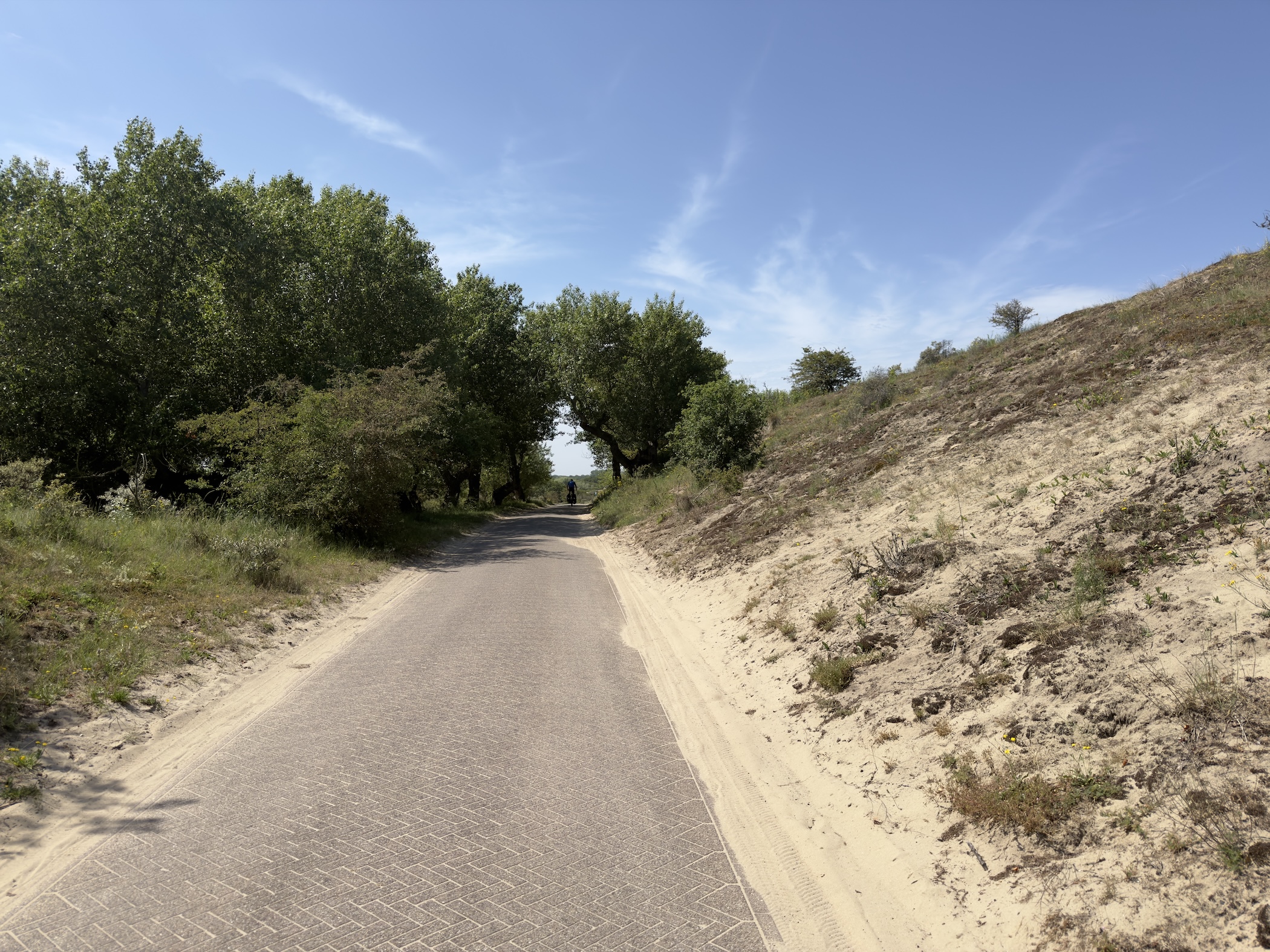 A brick cycle path climbing past a steep bank of pale dune sand.