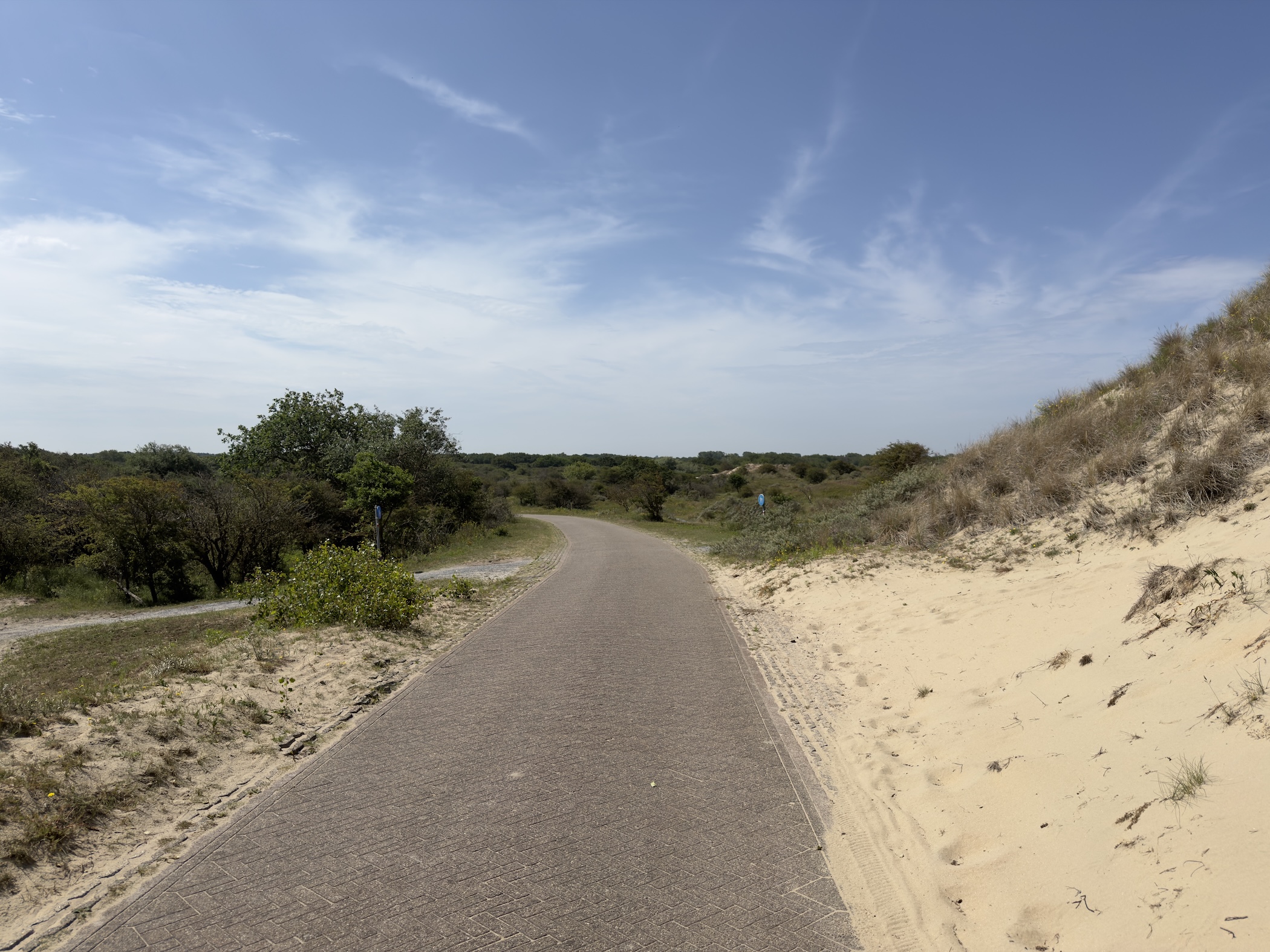 A brick cycle path curving through low dunes beside drifting sand and shrubs.