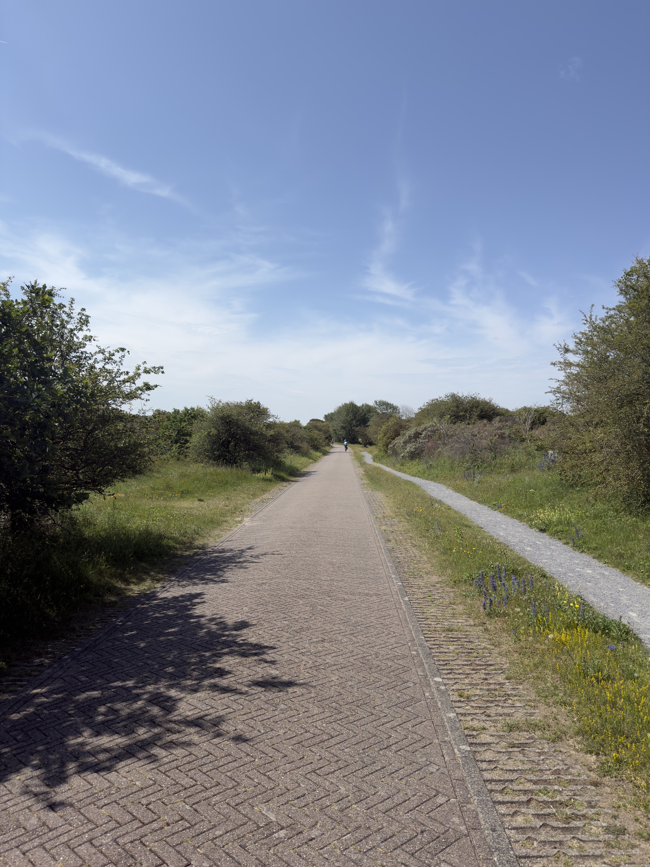 A herringbone brick cycle path stretching ahead through grassy dunes.
