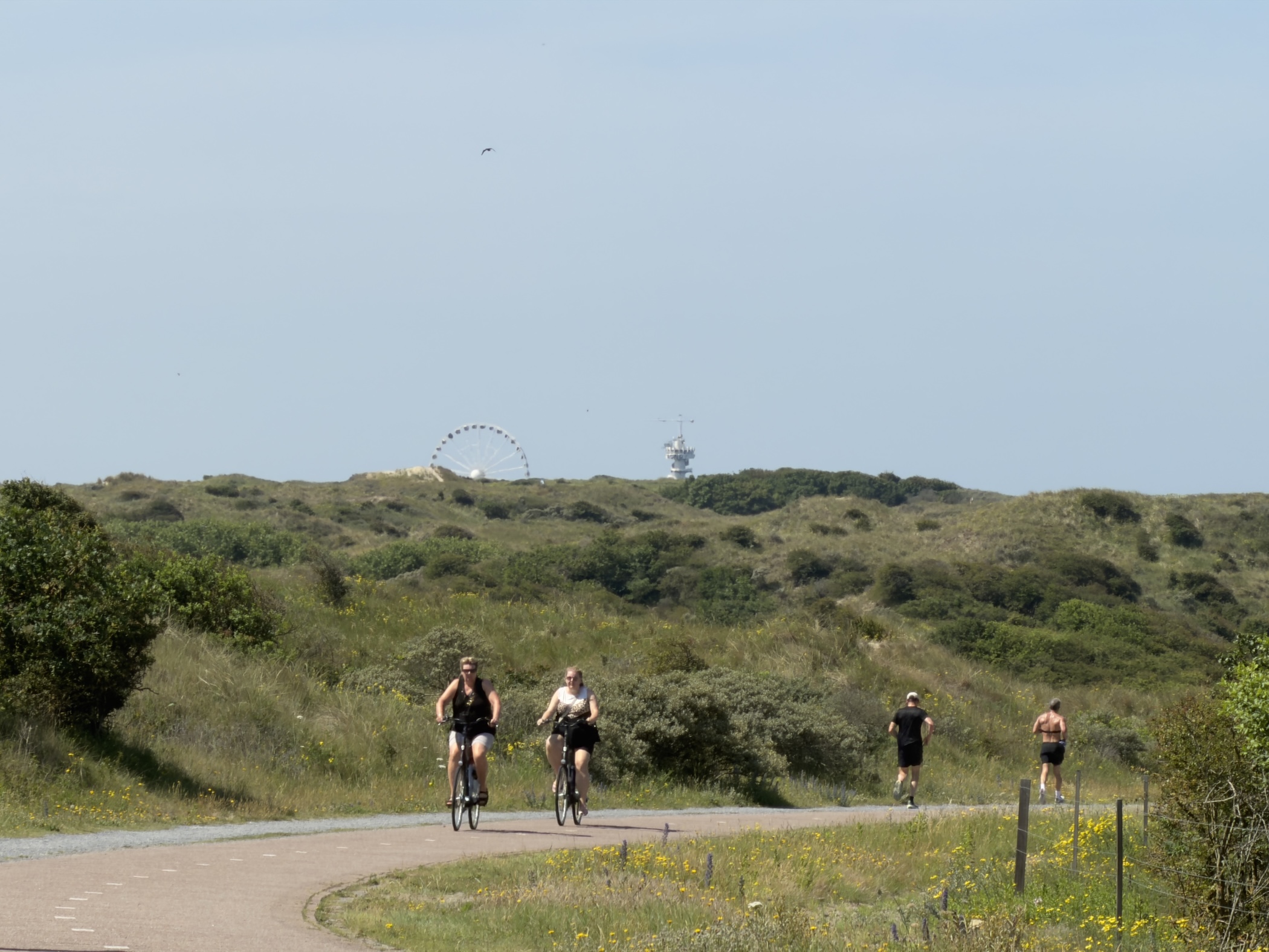 Two cyclists ride a curving dune path with a distant Ferris wheel and tower beyond grassy hills.