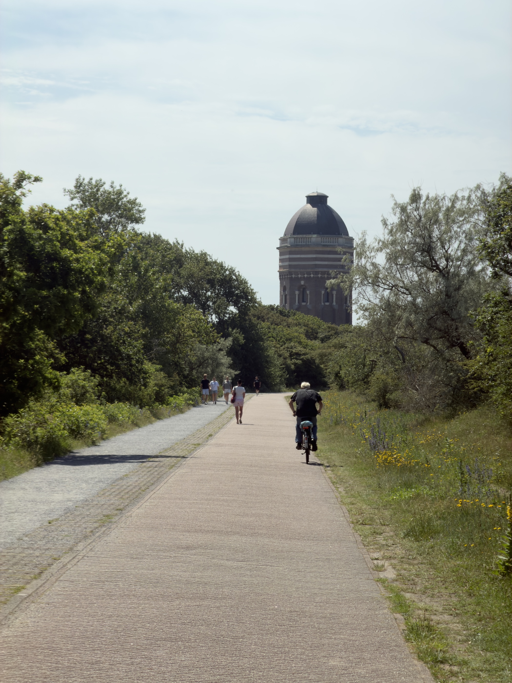 A paved cycle path leads through dune woodland towards the domed Zandvoort water tower.