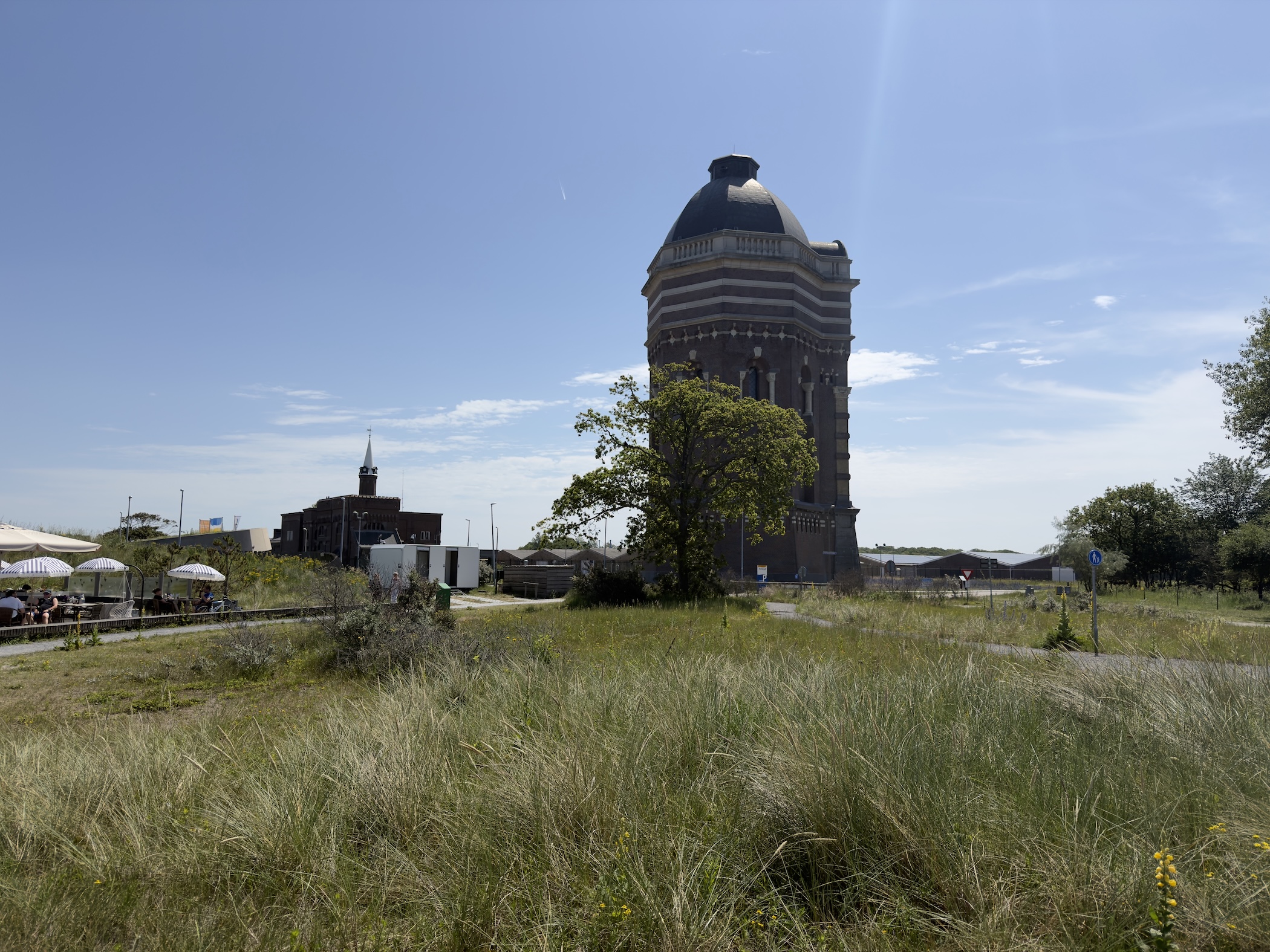 A tall brick water tower with a dark dome stands behind rough dune grass and a single tree.