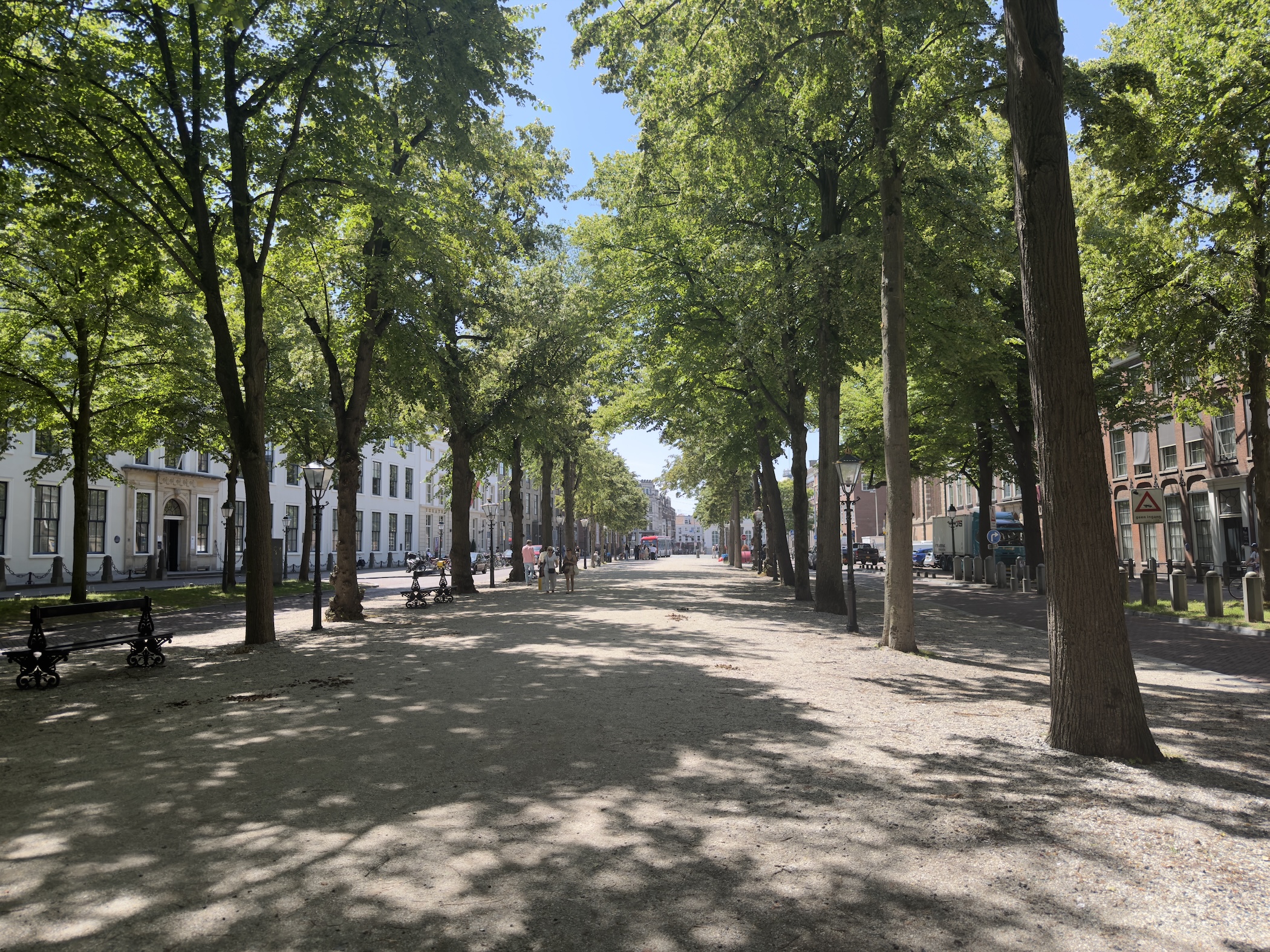 A broad tree-lined gravel avenue with benches and grand buildings in dappled shade.