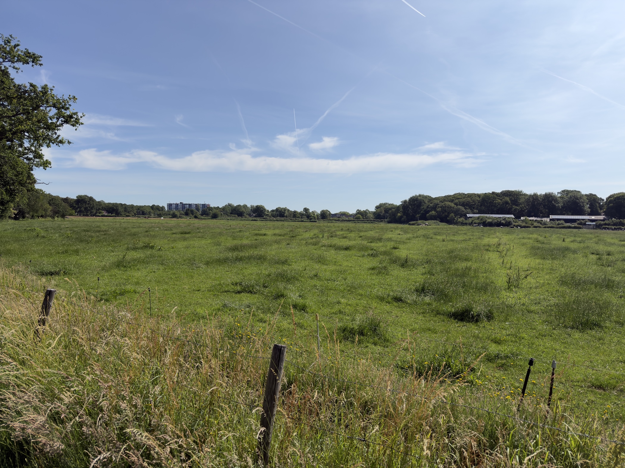 A flat green meadow under a blue sky, with distant tree lines and low buildings on the horizon.