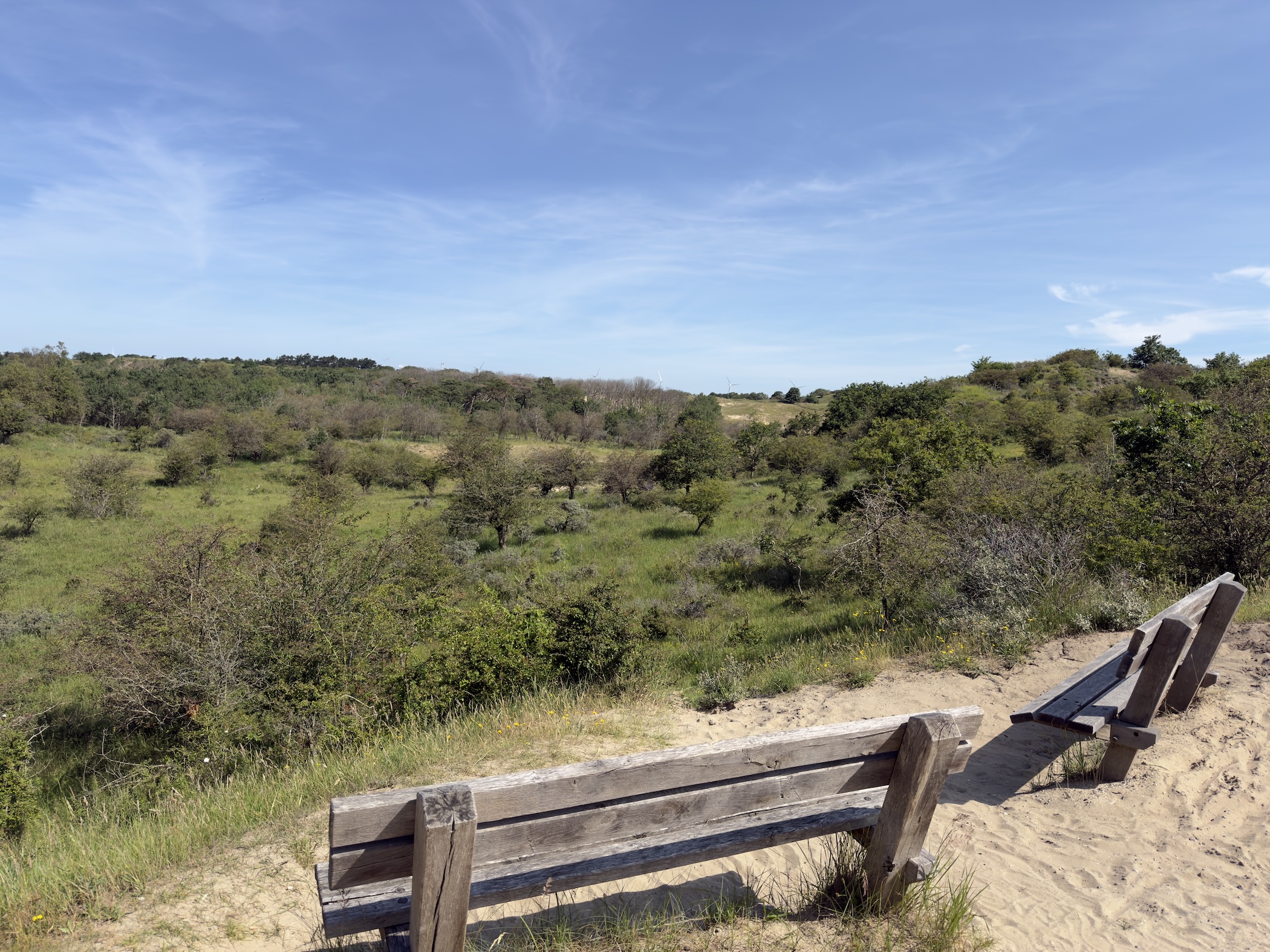 A weathered wooden bench on a sandy rise overlooking scrubby dune valley and blue sky.
