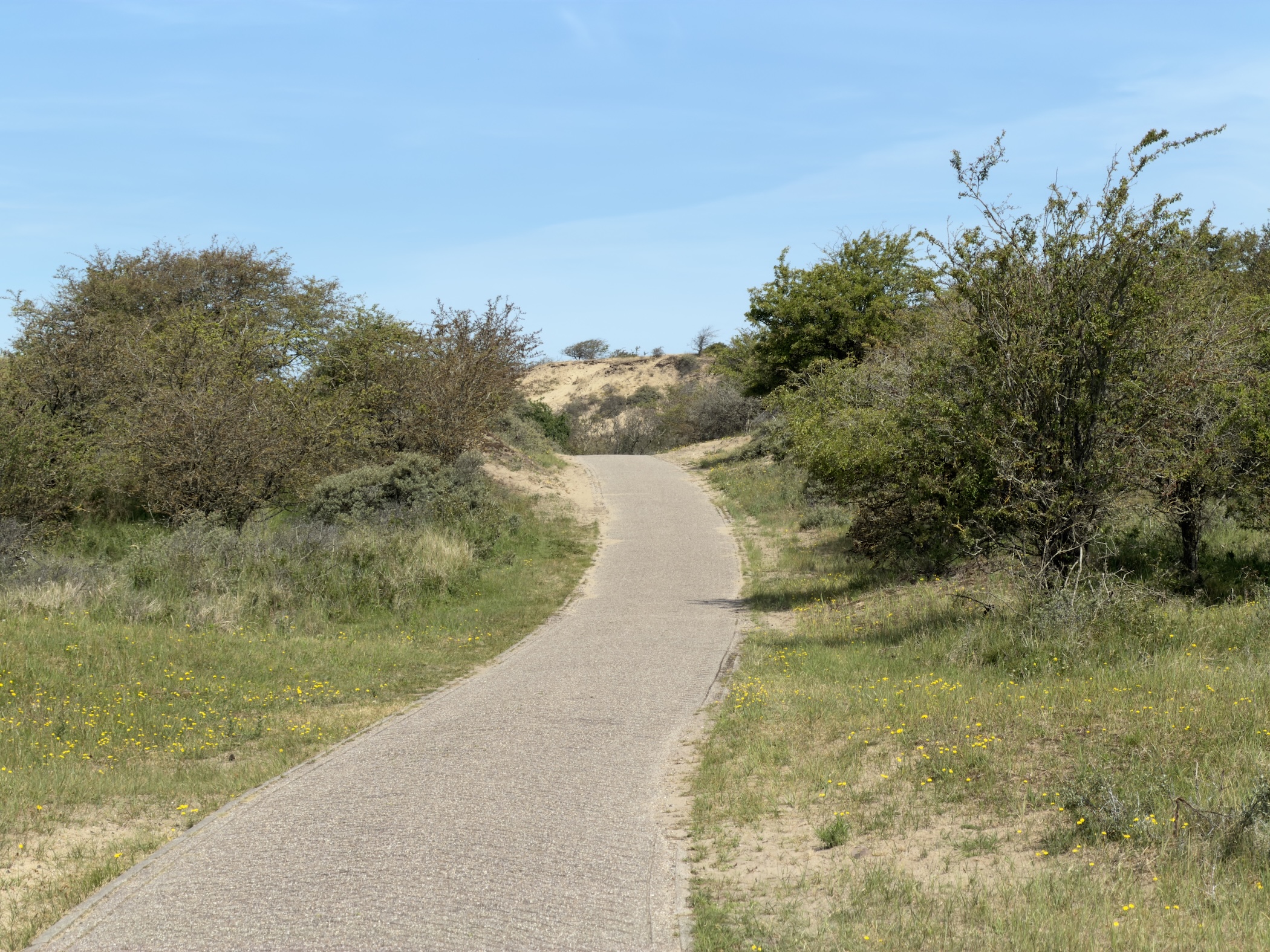 A paved cycle path curving through grassy dunes towards a sandy rise under blue sky.