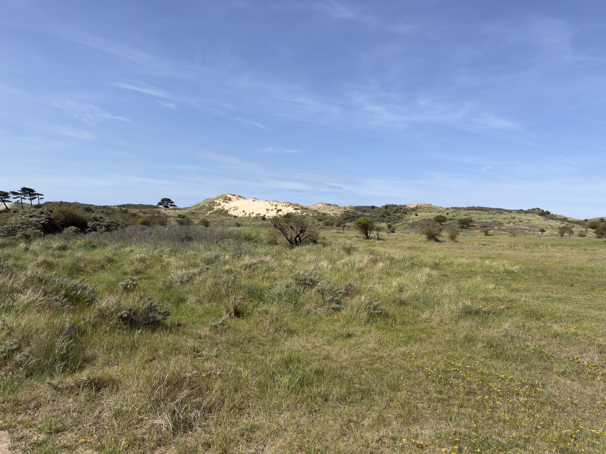 A bare sandy dune crest behind rolling scrub and grassland under wispy clouds.