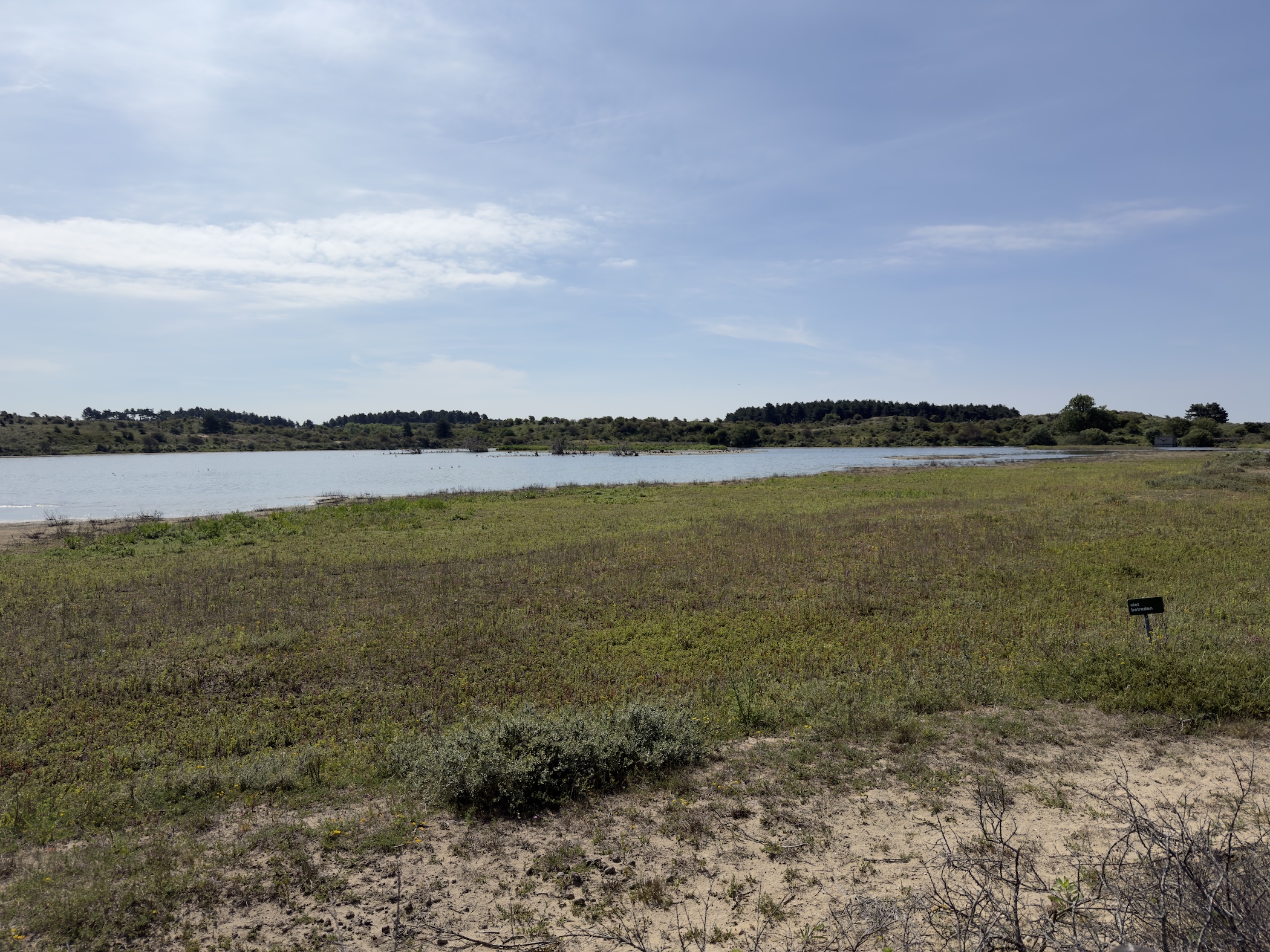 A shallow lake with a marshy foreshore and a small information sign on bare sand.