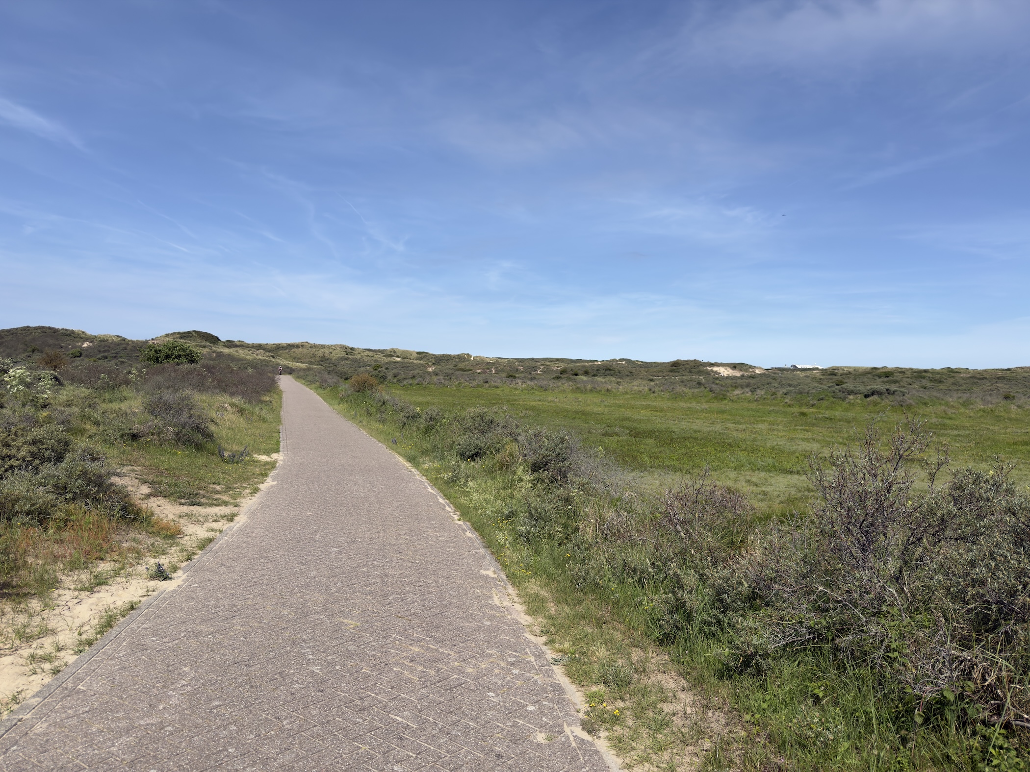 A straight paved cycle path running through flat dune grassland under a wide blue sky.