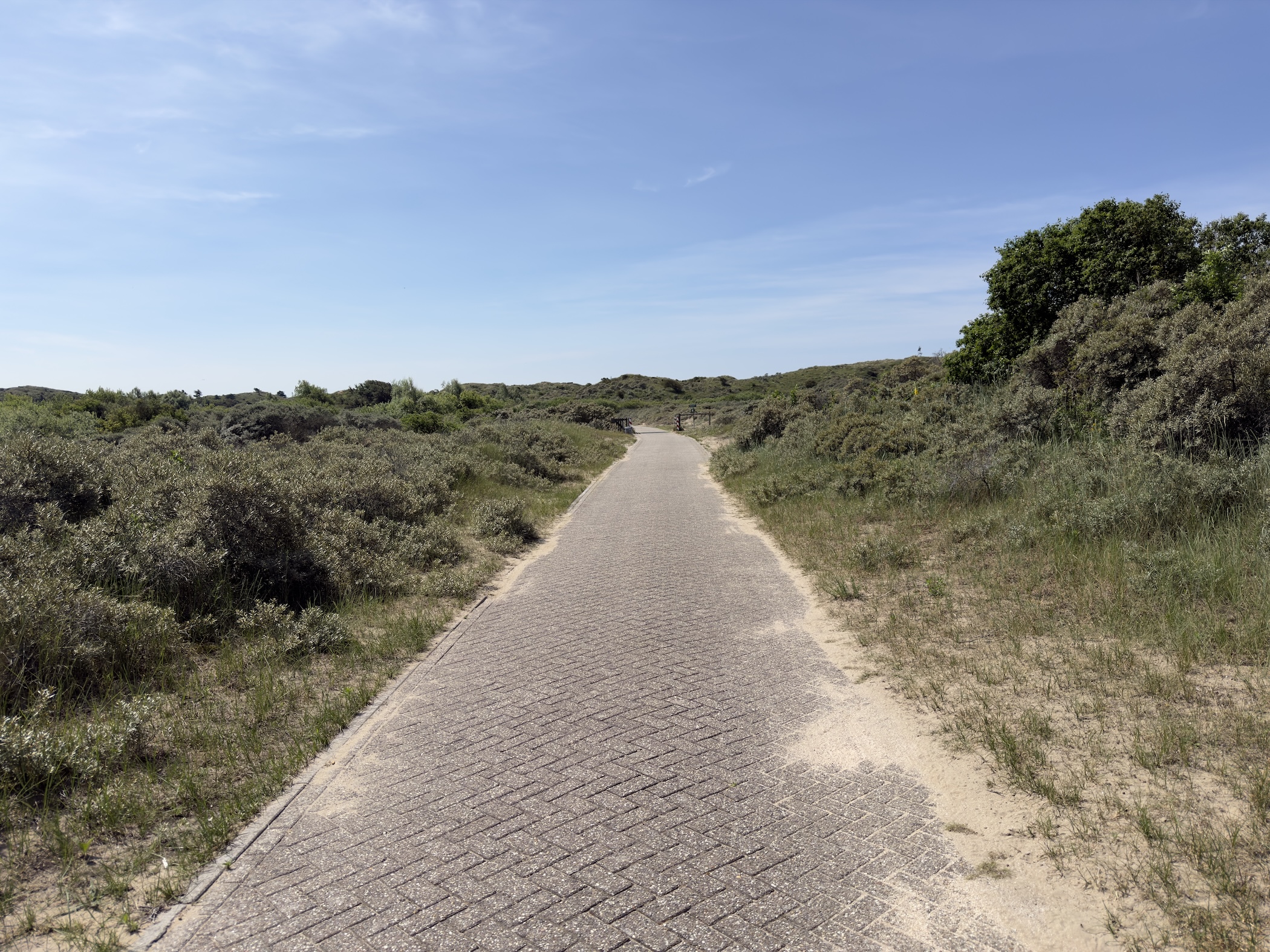 A paved cycle path winding through low scrub and dune heathland under blue sky.