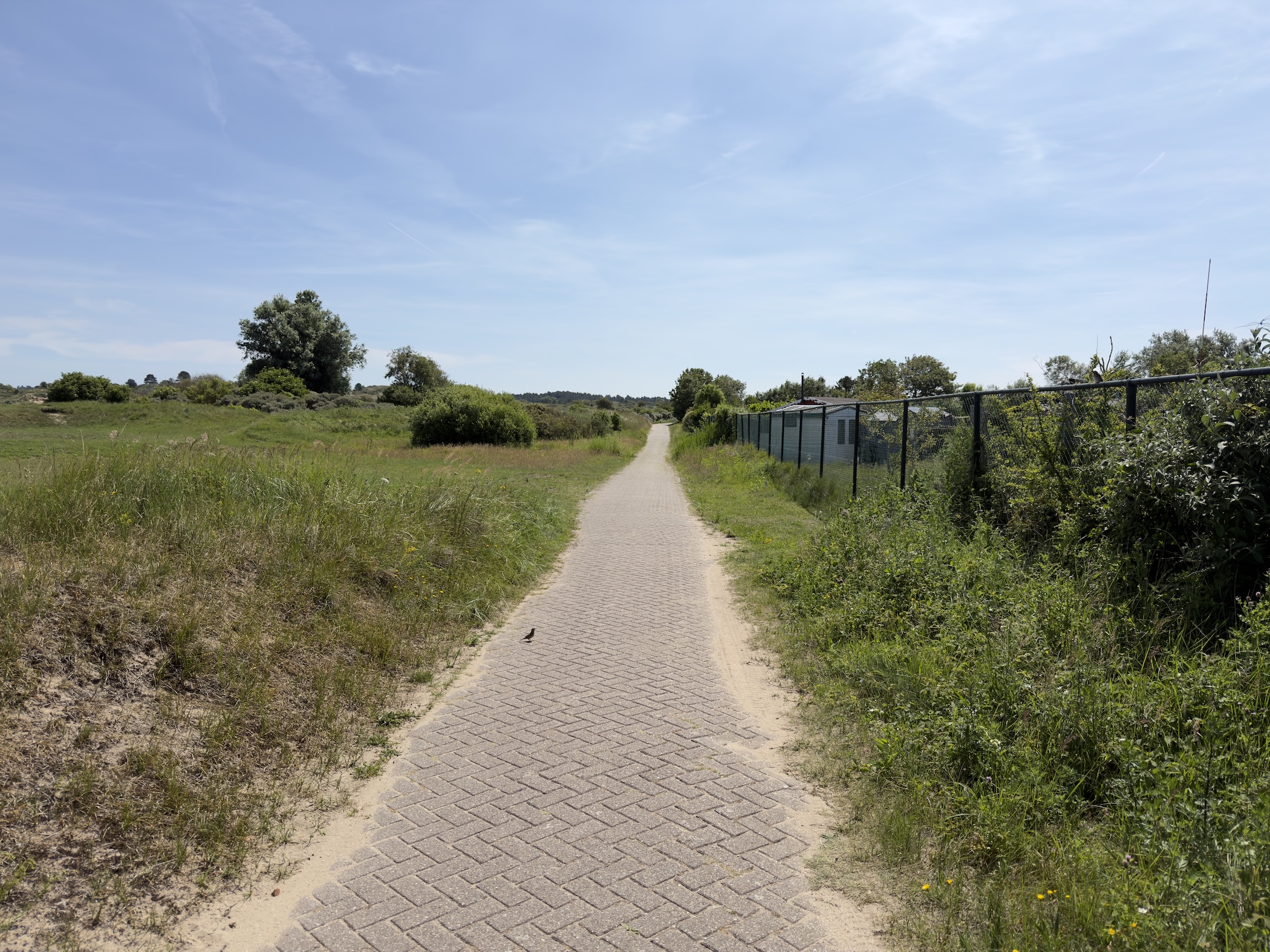 A brick cycle path running beside a wire fence through green dune grassland.