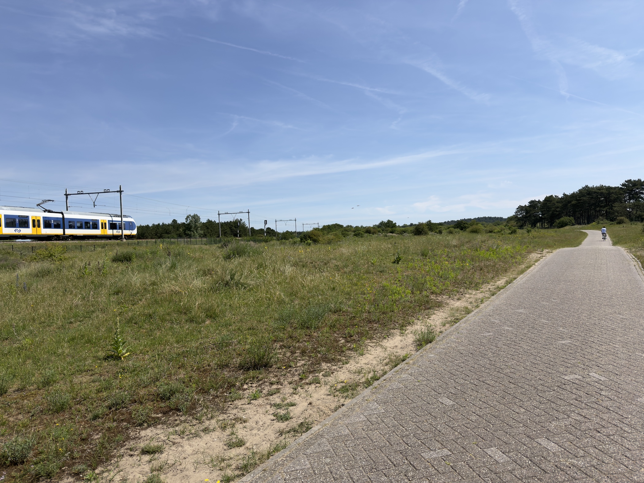 A yellow Dutch train passing dune grassland beside a paved cycle path.