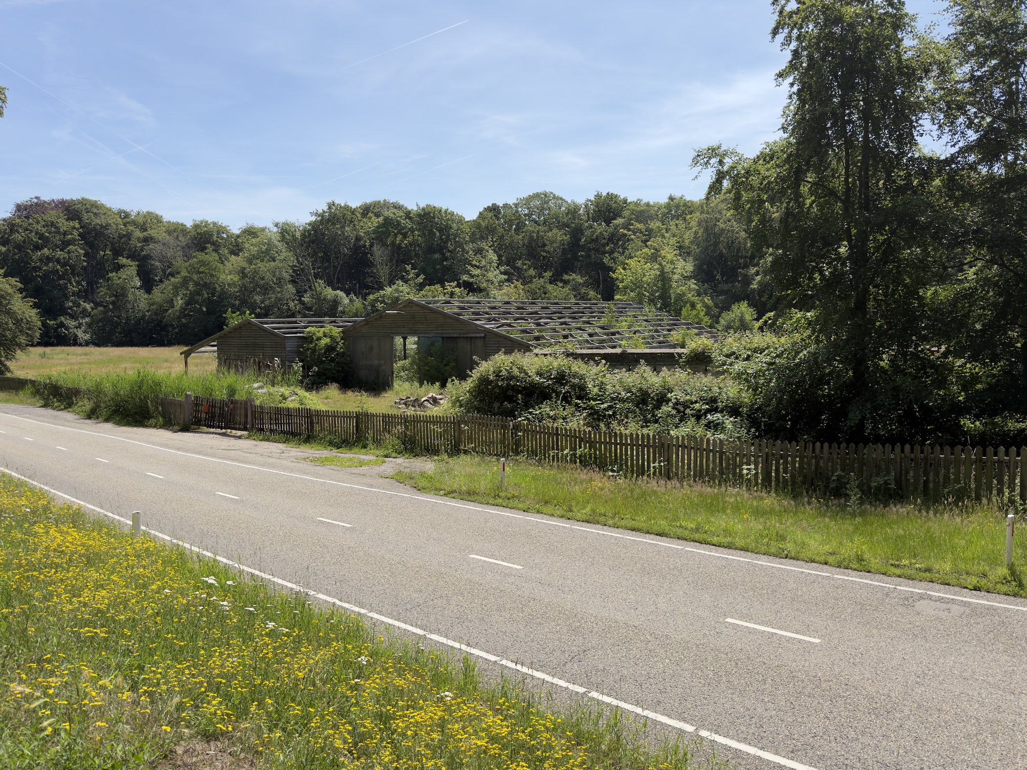 A quiet road passing a derelict open-sided barn beside trees and yellow wildflowers.