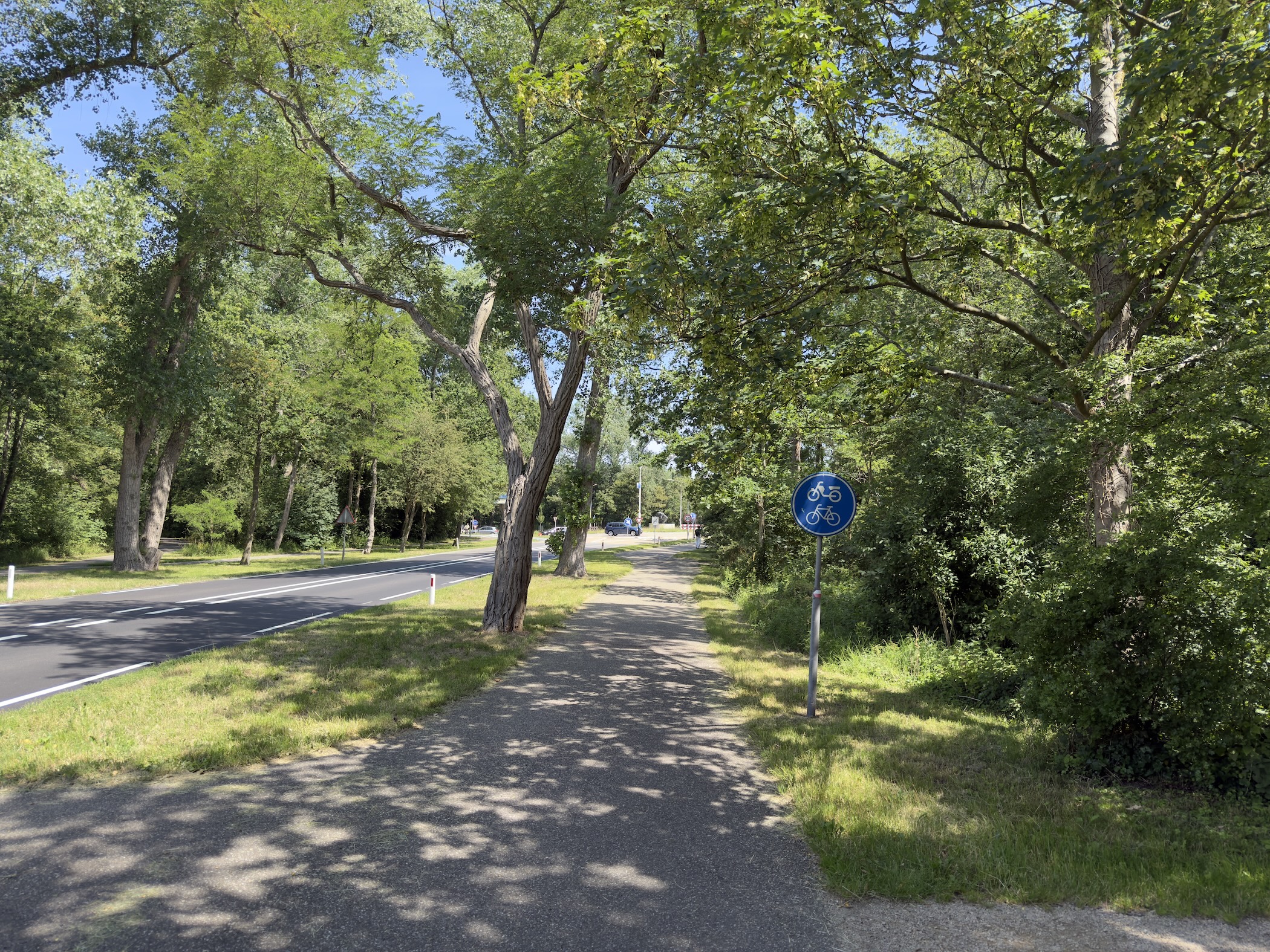 A tree-lined cycle path beside a road, marked by a blue cyclist sign under bright sky.