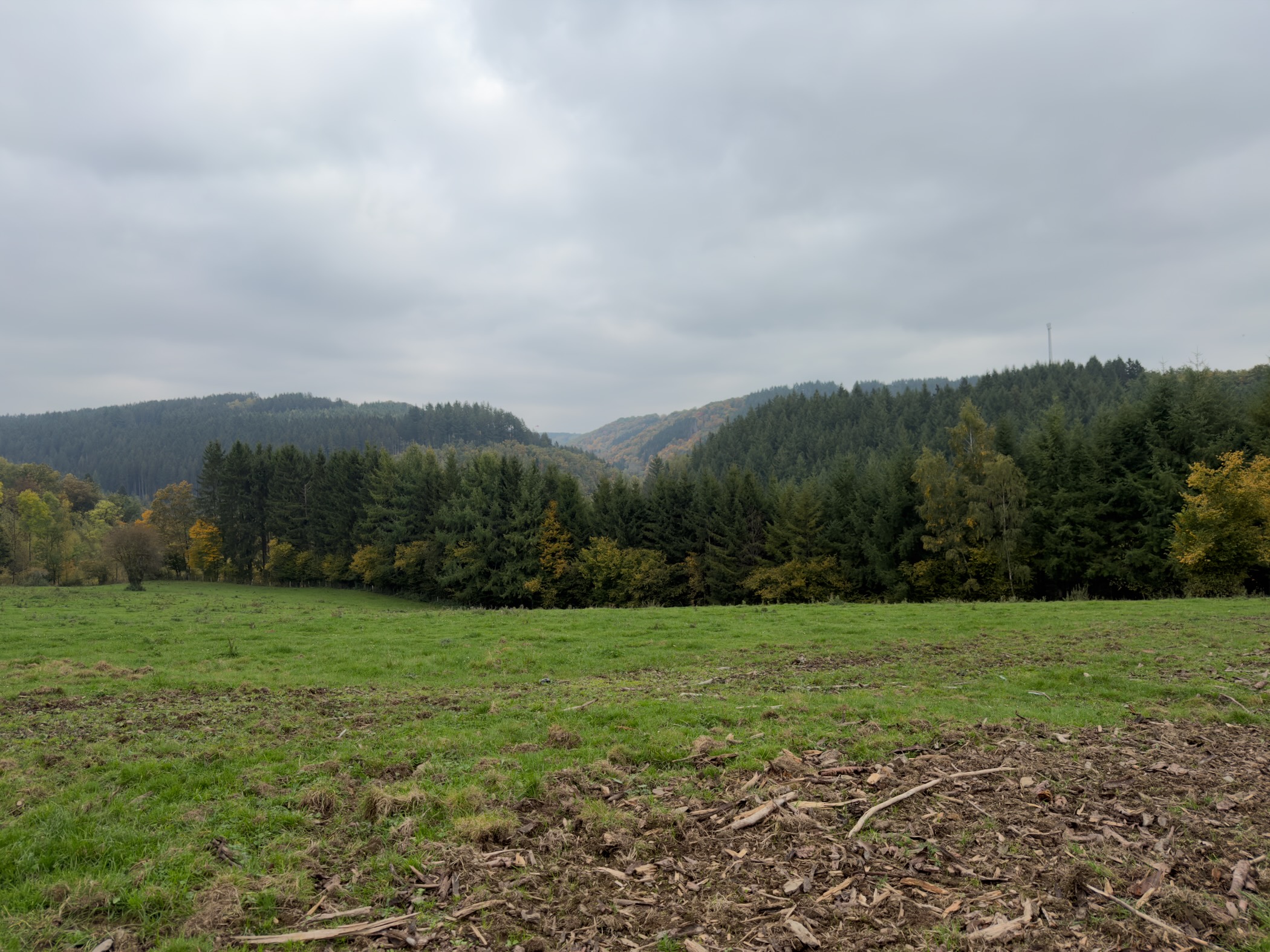Description