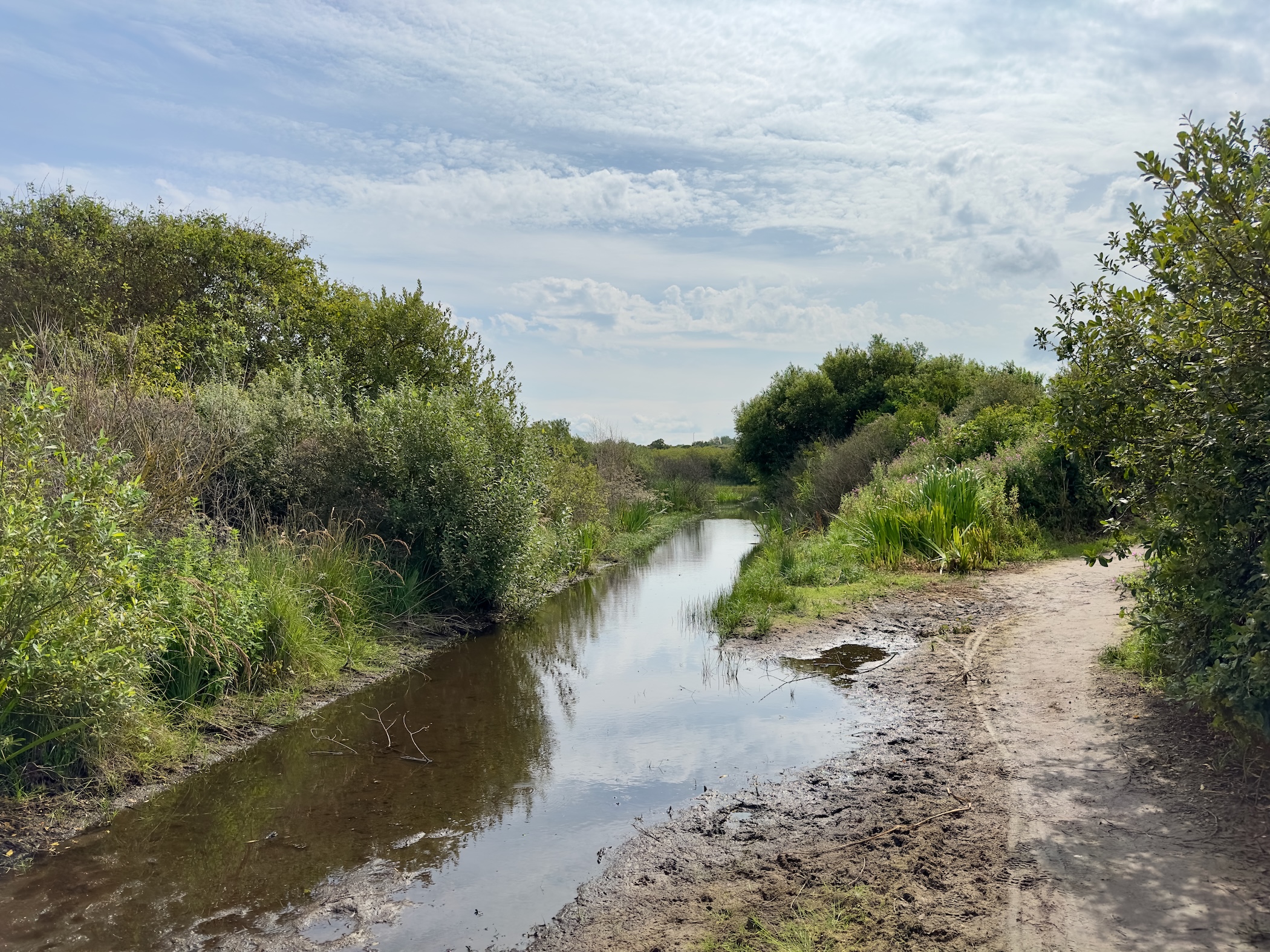 Sandy path 1