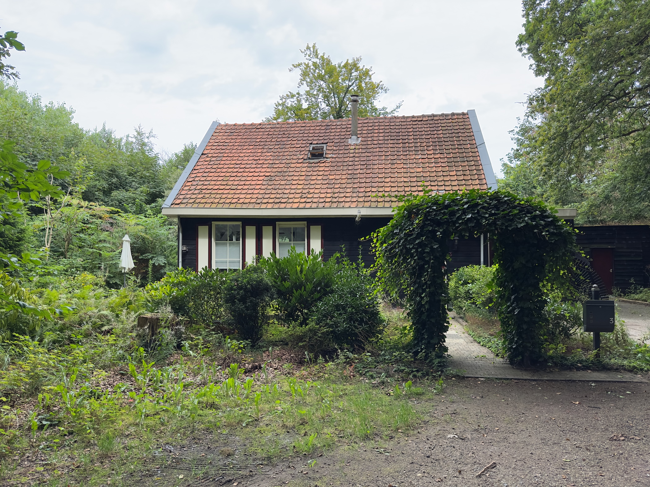 Cute little house in the forest
