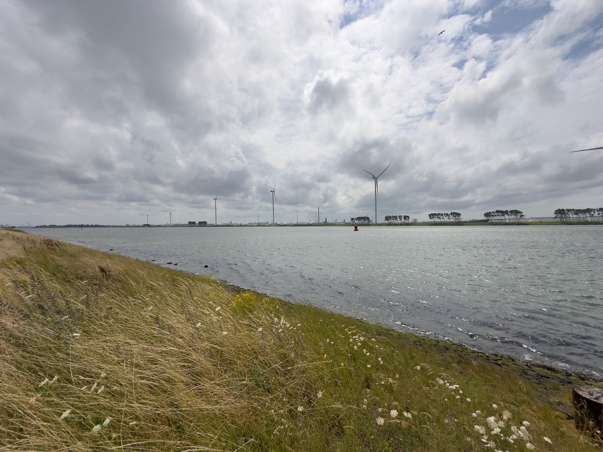 Nieuwe Waterweg 2