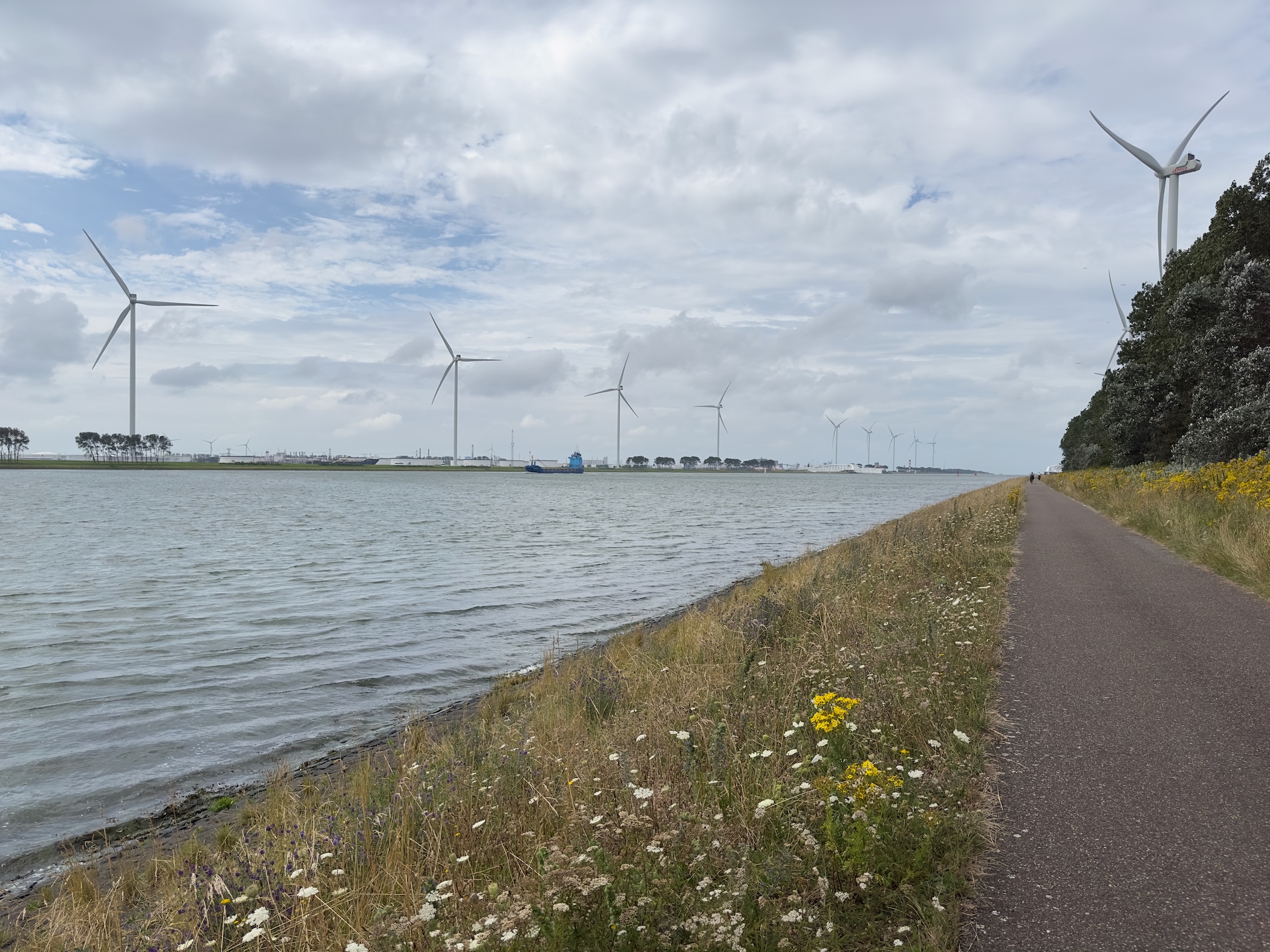 Nieuwe Waterweg 4
