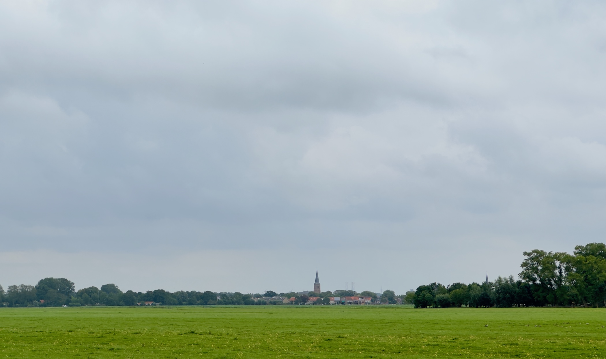Maasland in the distance