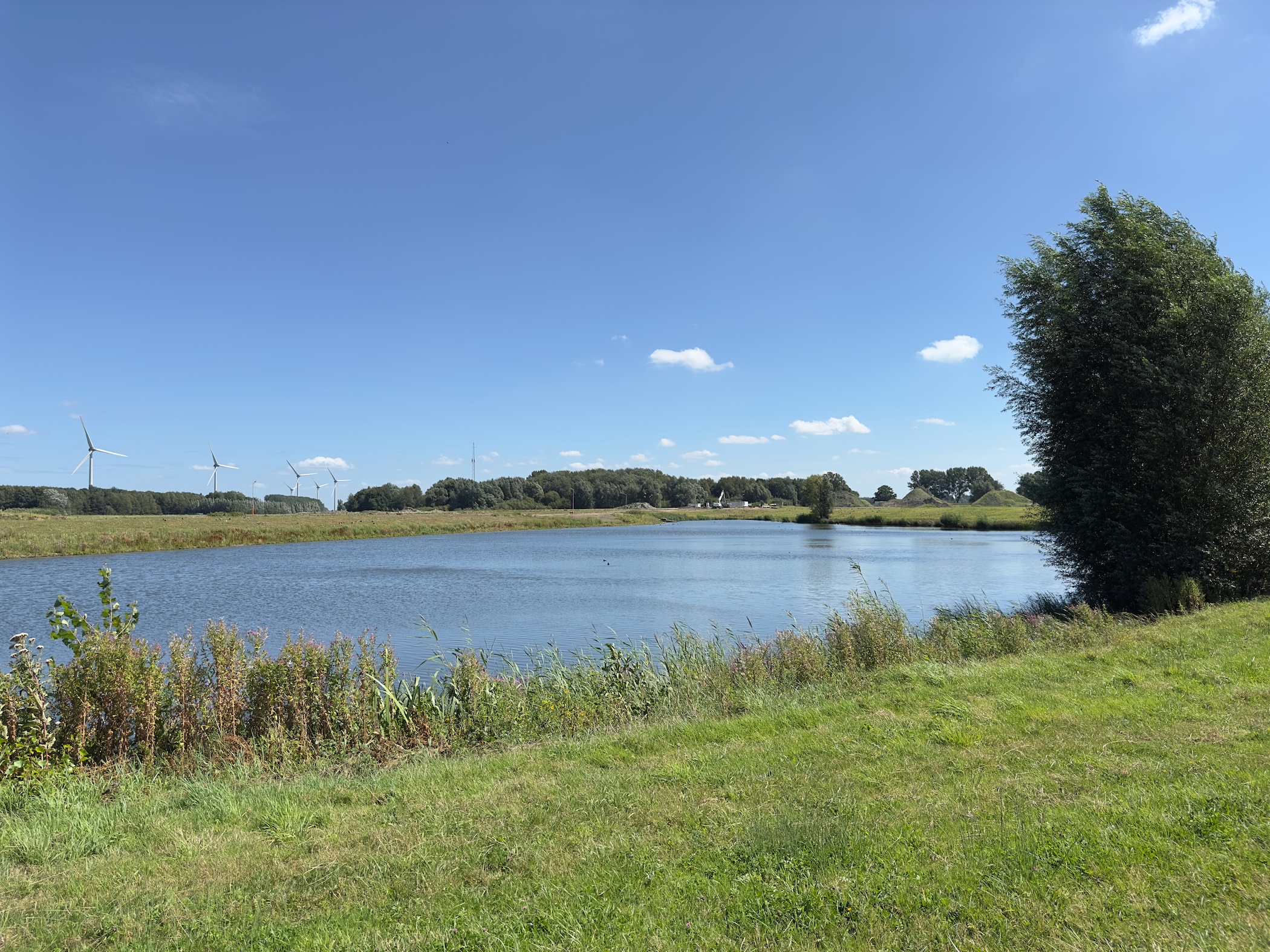 Zwartewaal 2