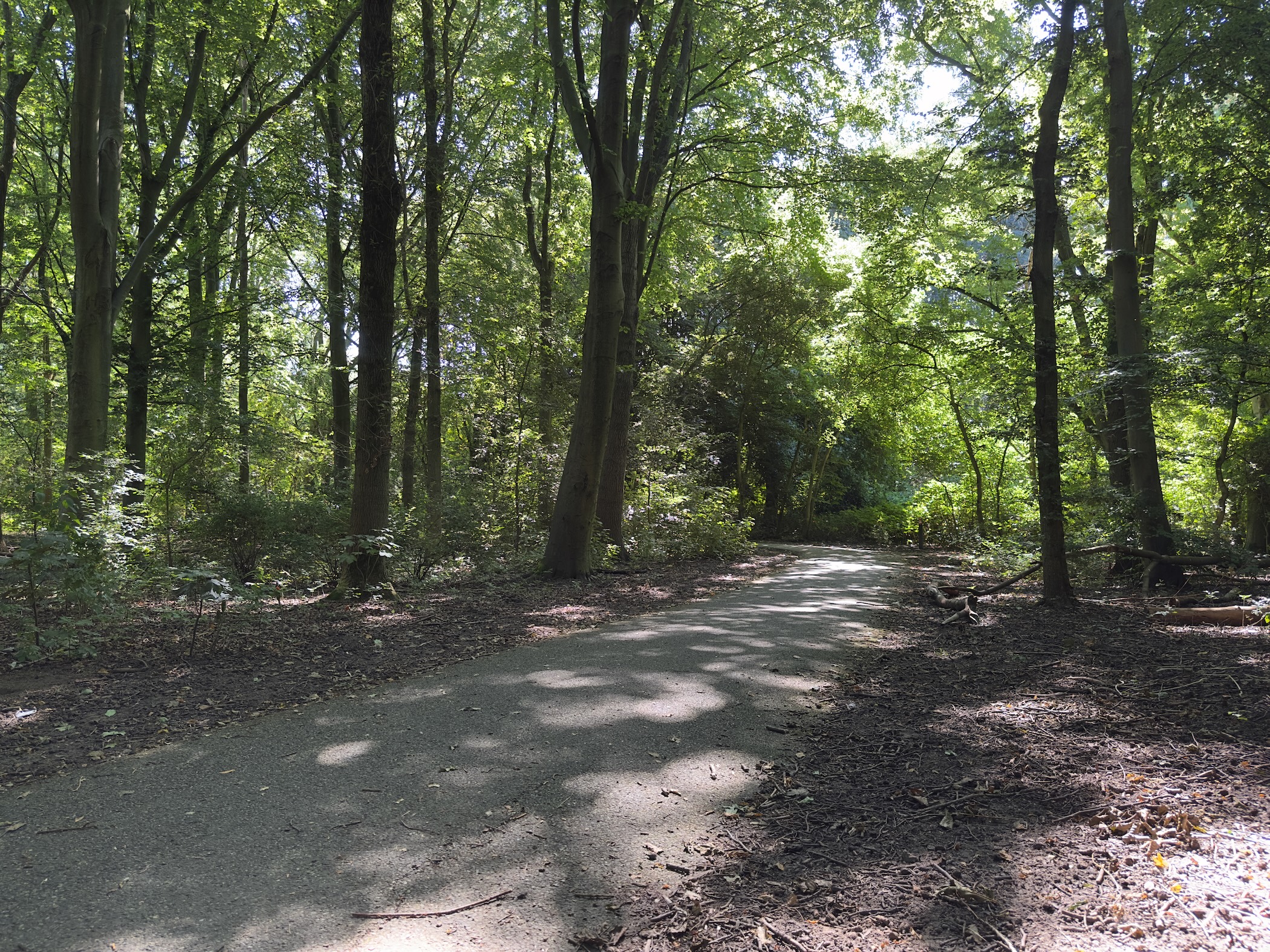 Hartelpark 1