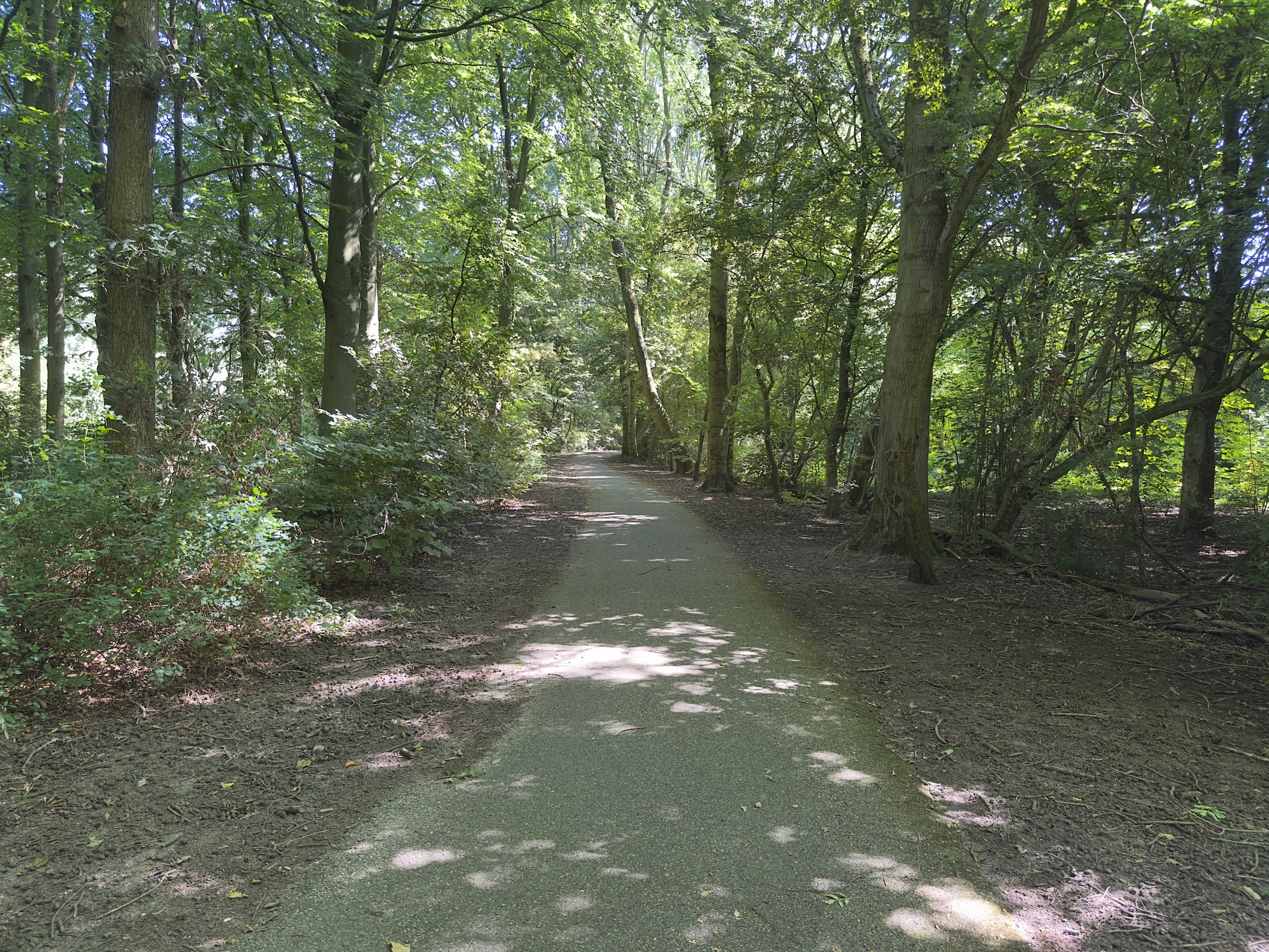 Hartelpark 2