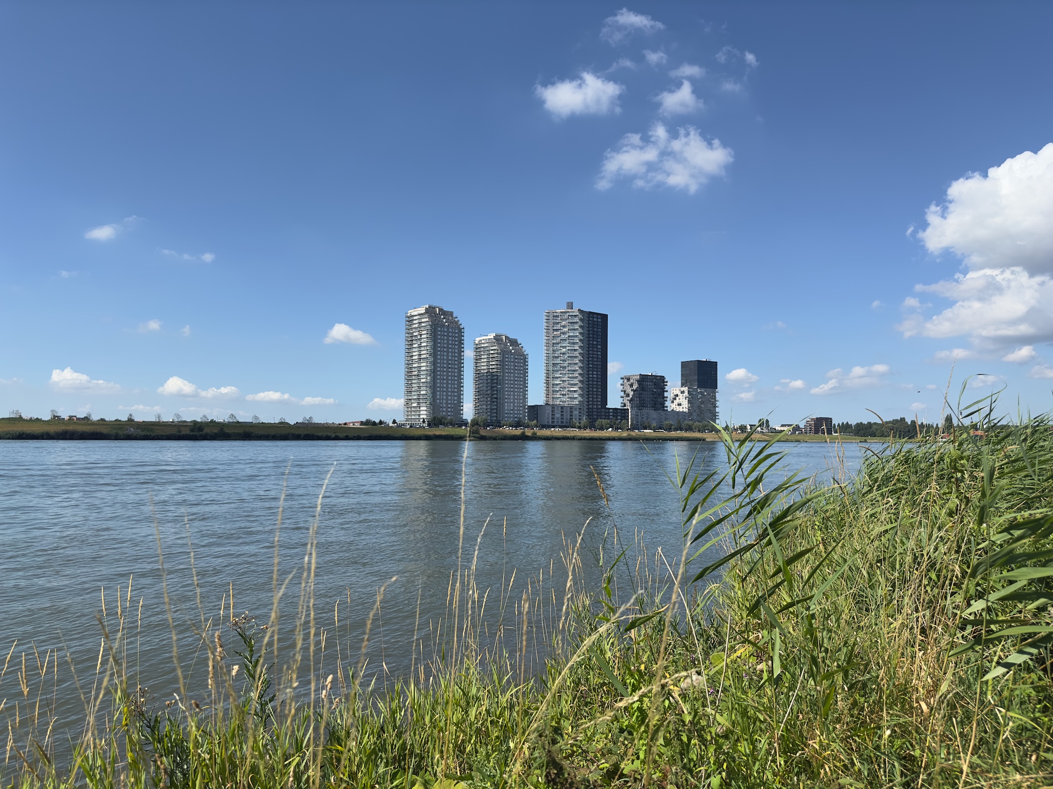 Old Maas