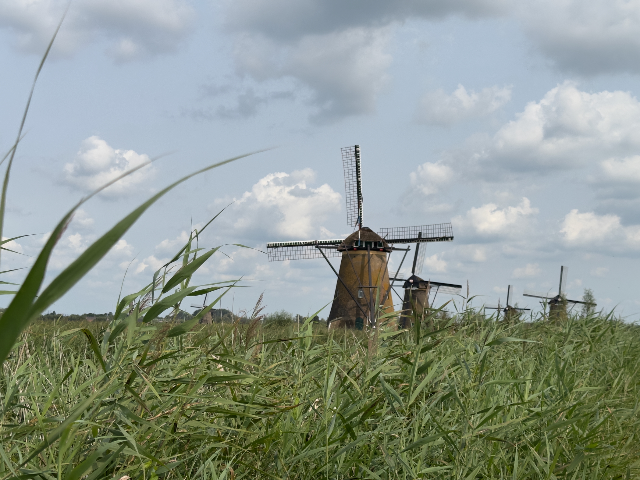 Old Maas