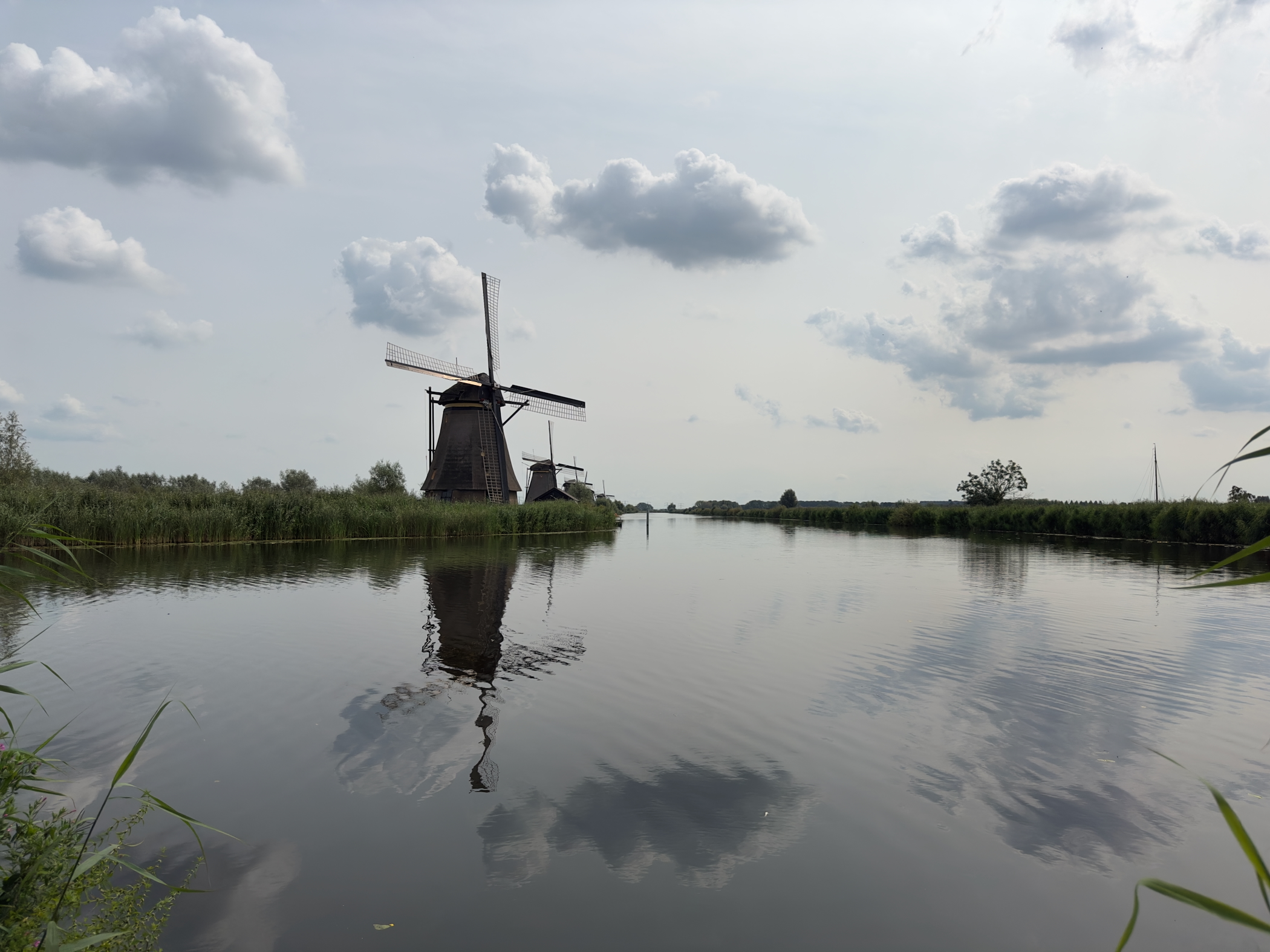 Old Maas 3