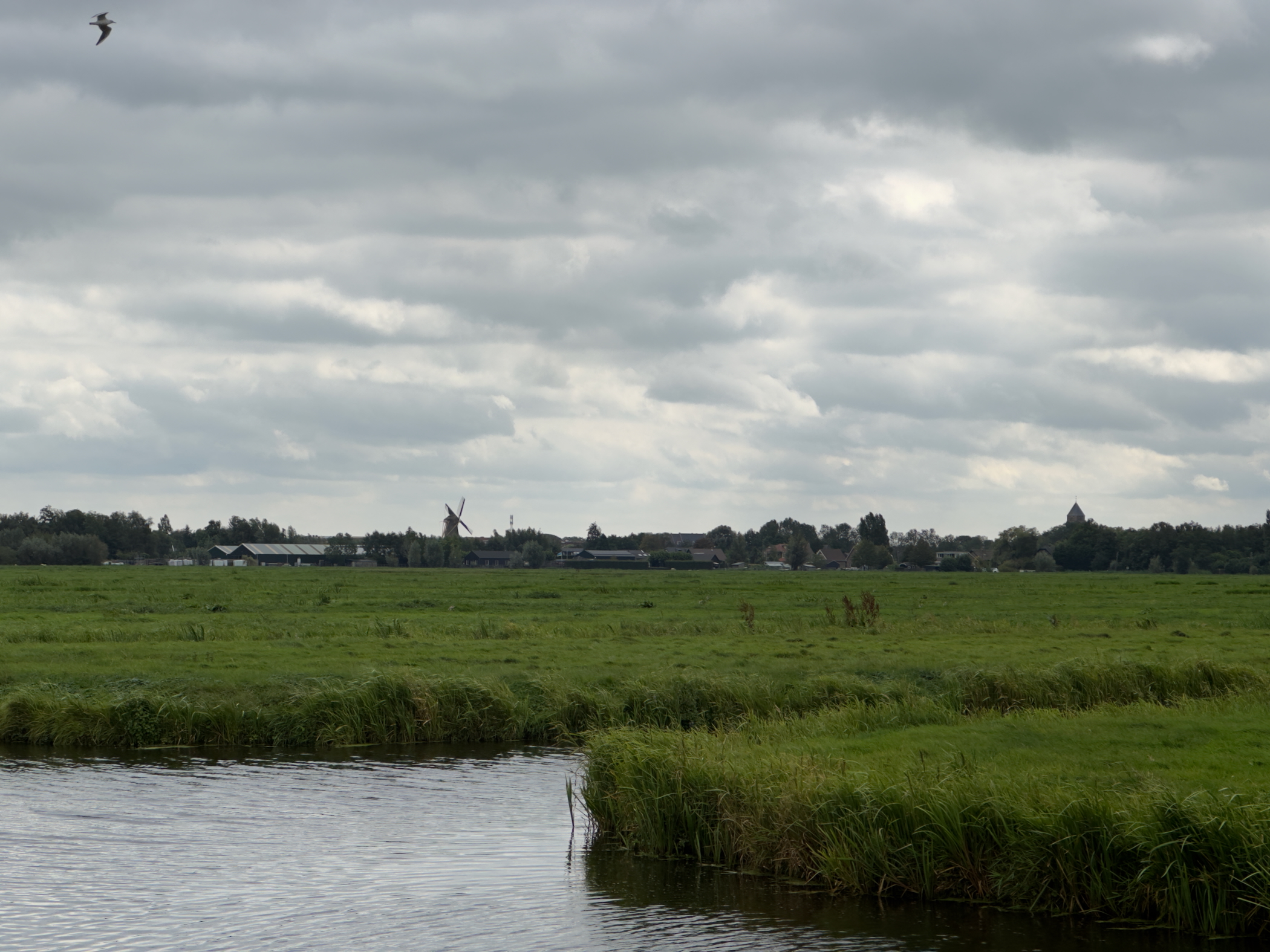 Old Maas 3
