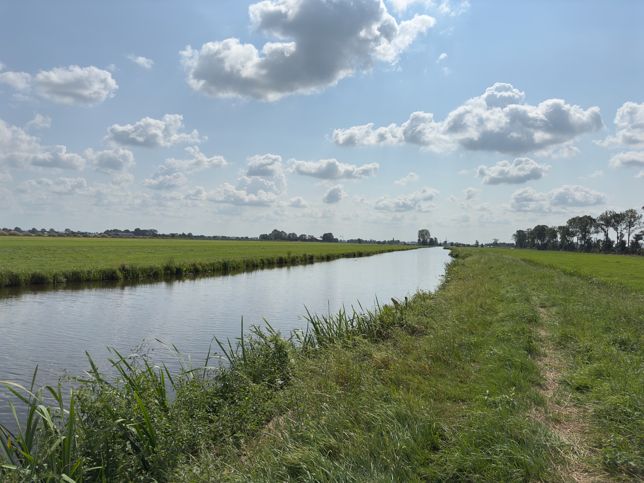 Old Maas again