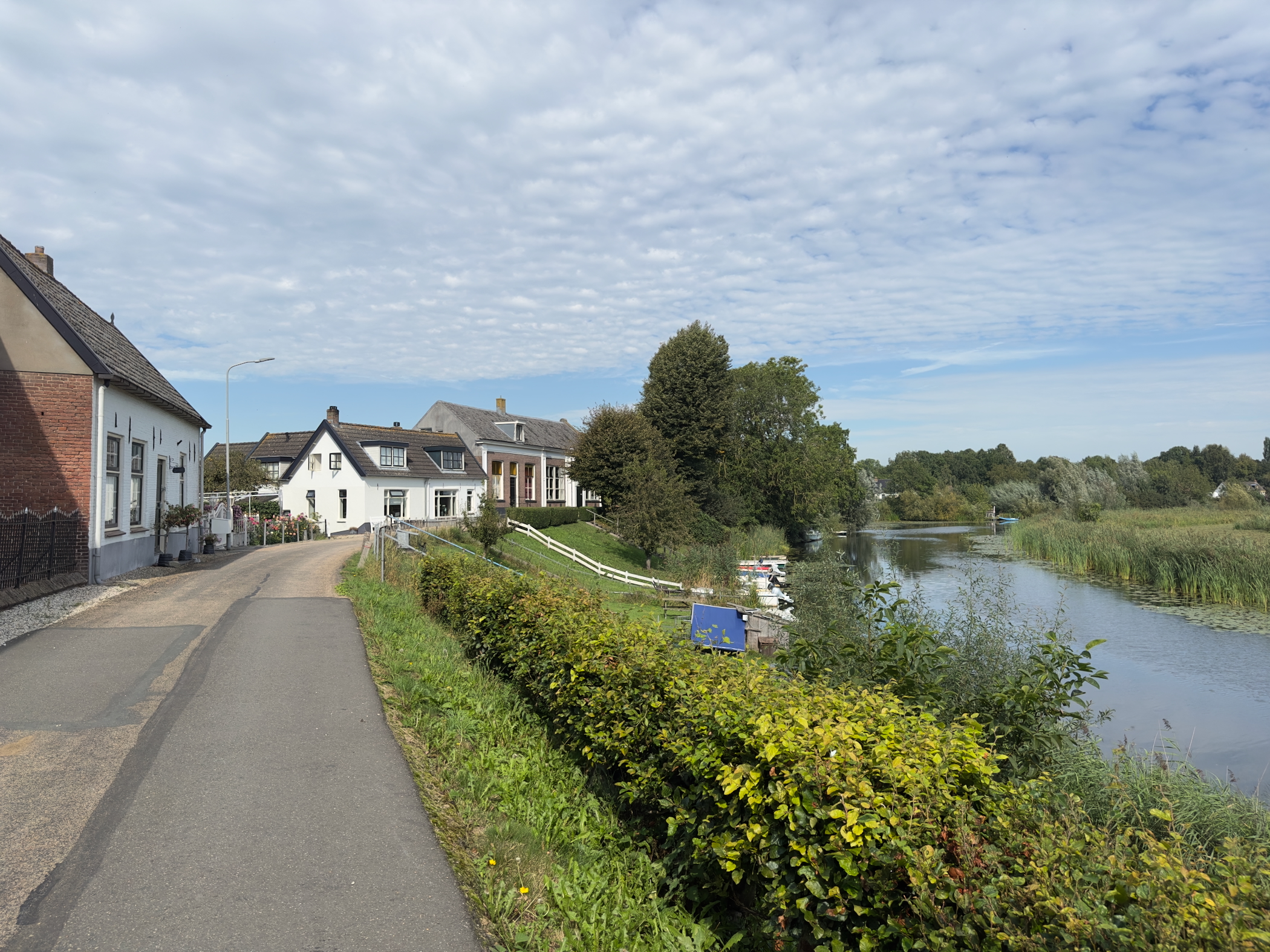 Old Maas again