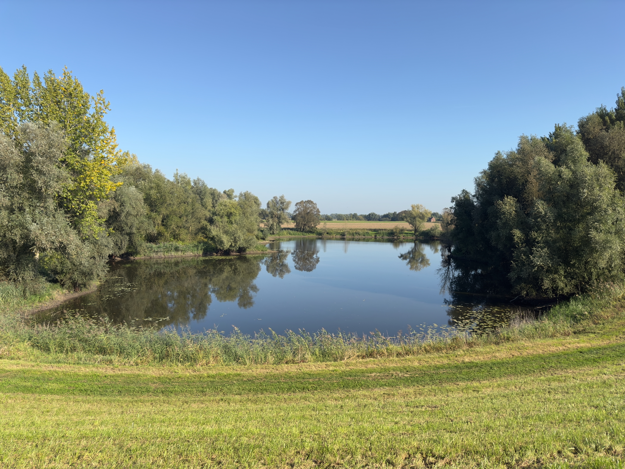 Old Maas again