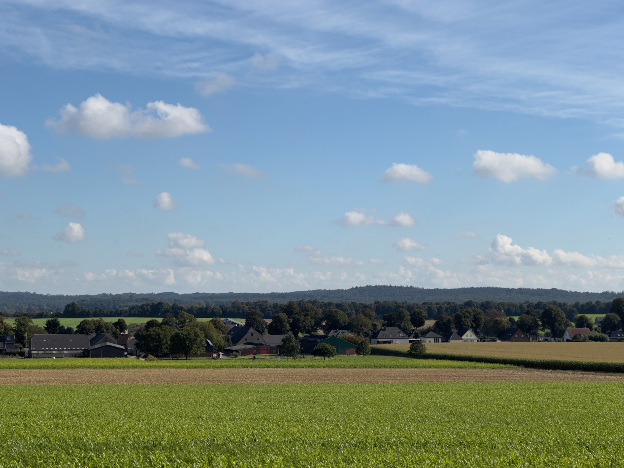 Old Maas