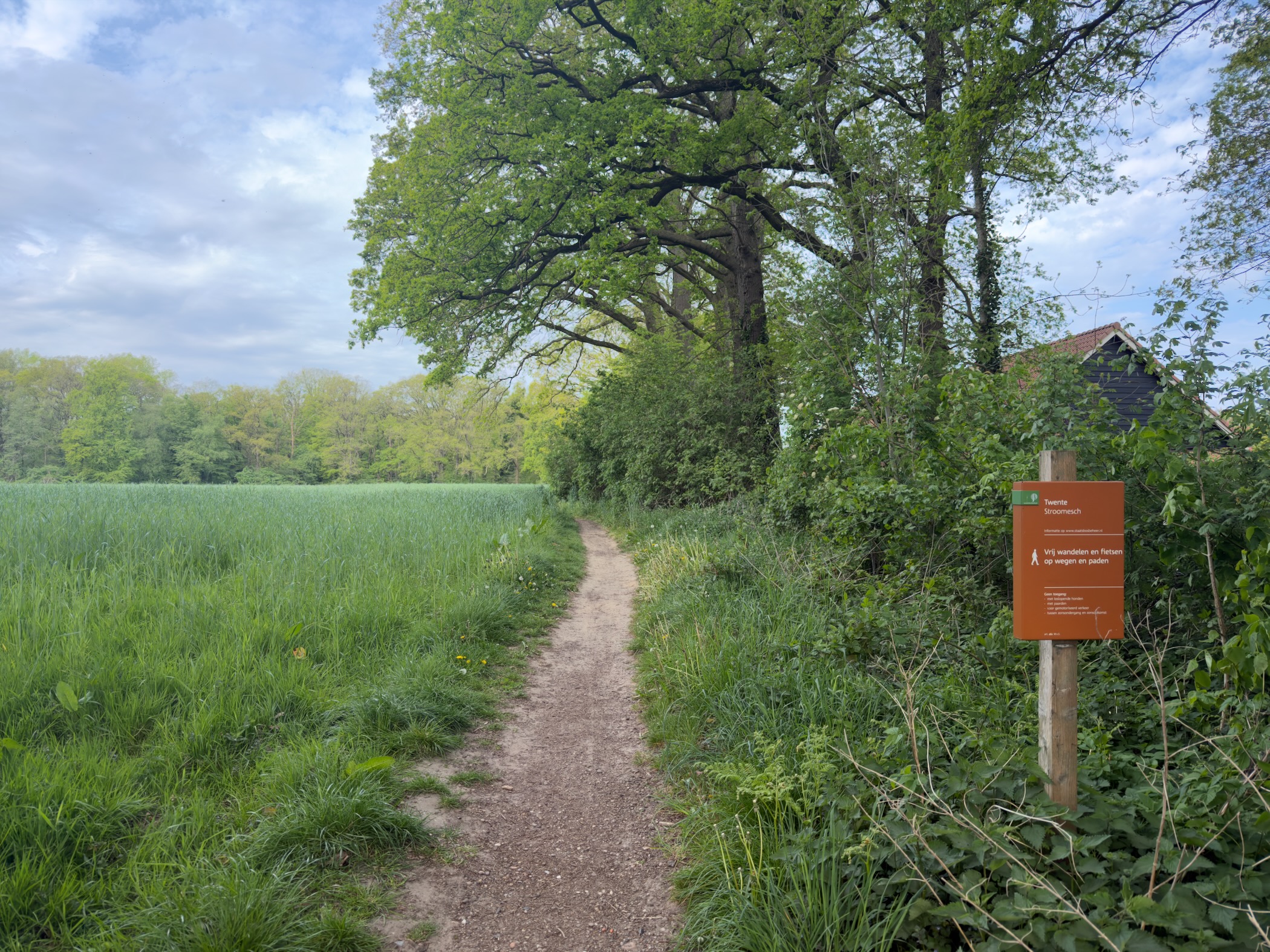 Sandy footpath leading along a wheat field beside an orange information sign and a row of oaks