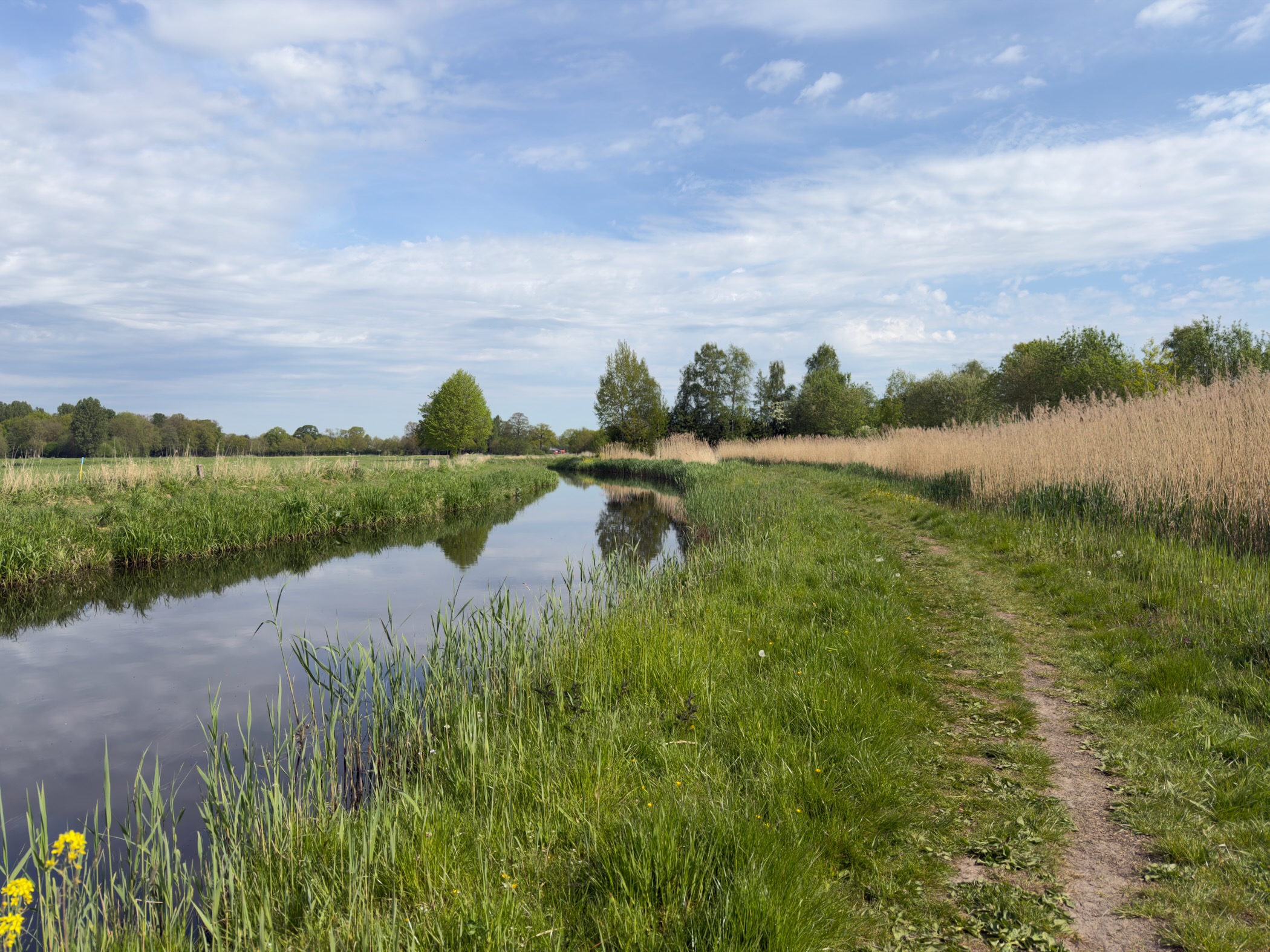 Quiet stream lined with reeds beside a grassy track under a bright cloudy sky