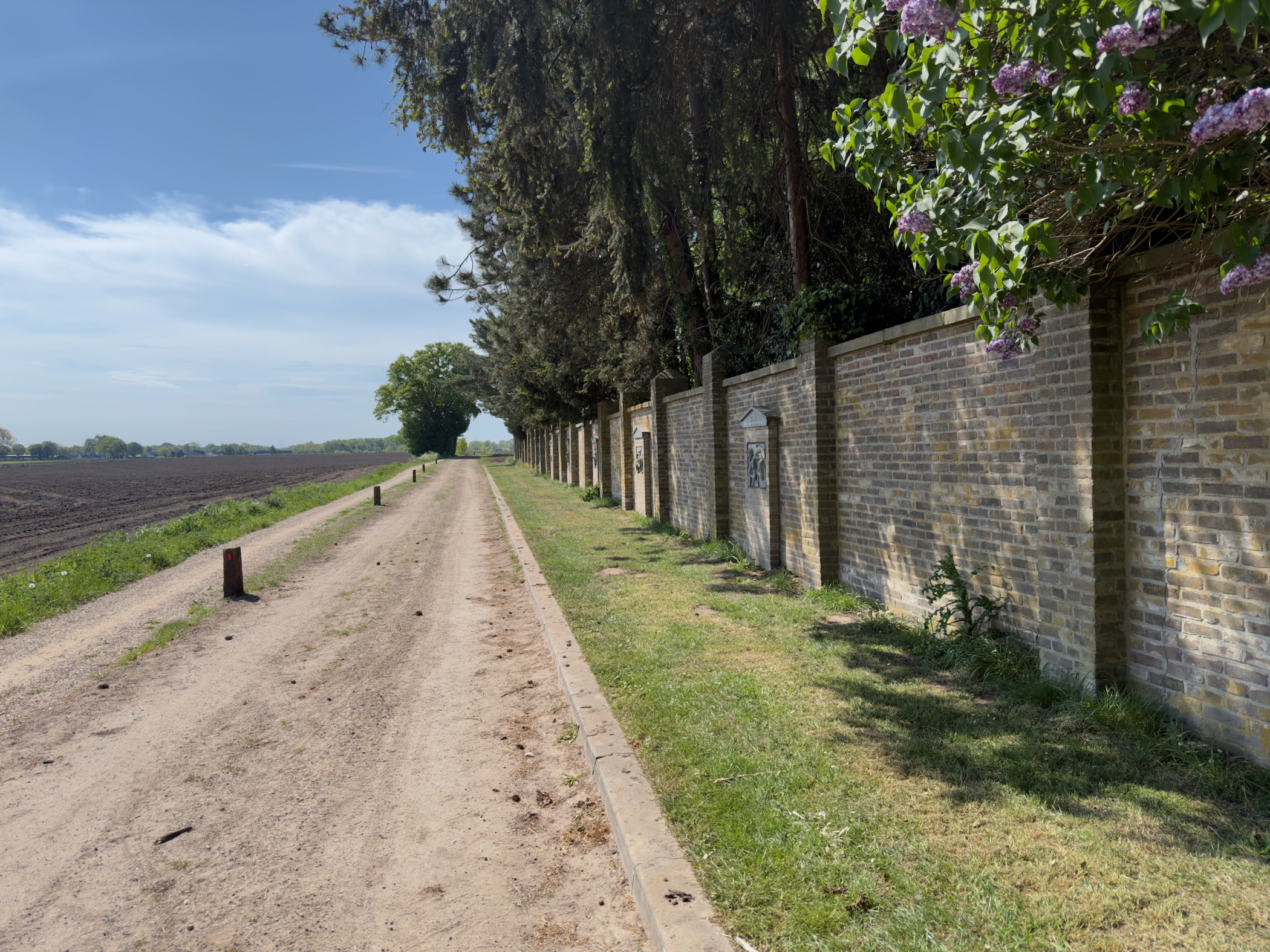 Sandy track running alongside the long yellow brick monastery wall with lilac in bloom