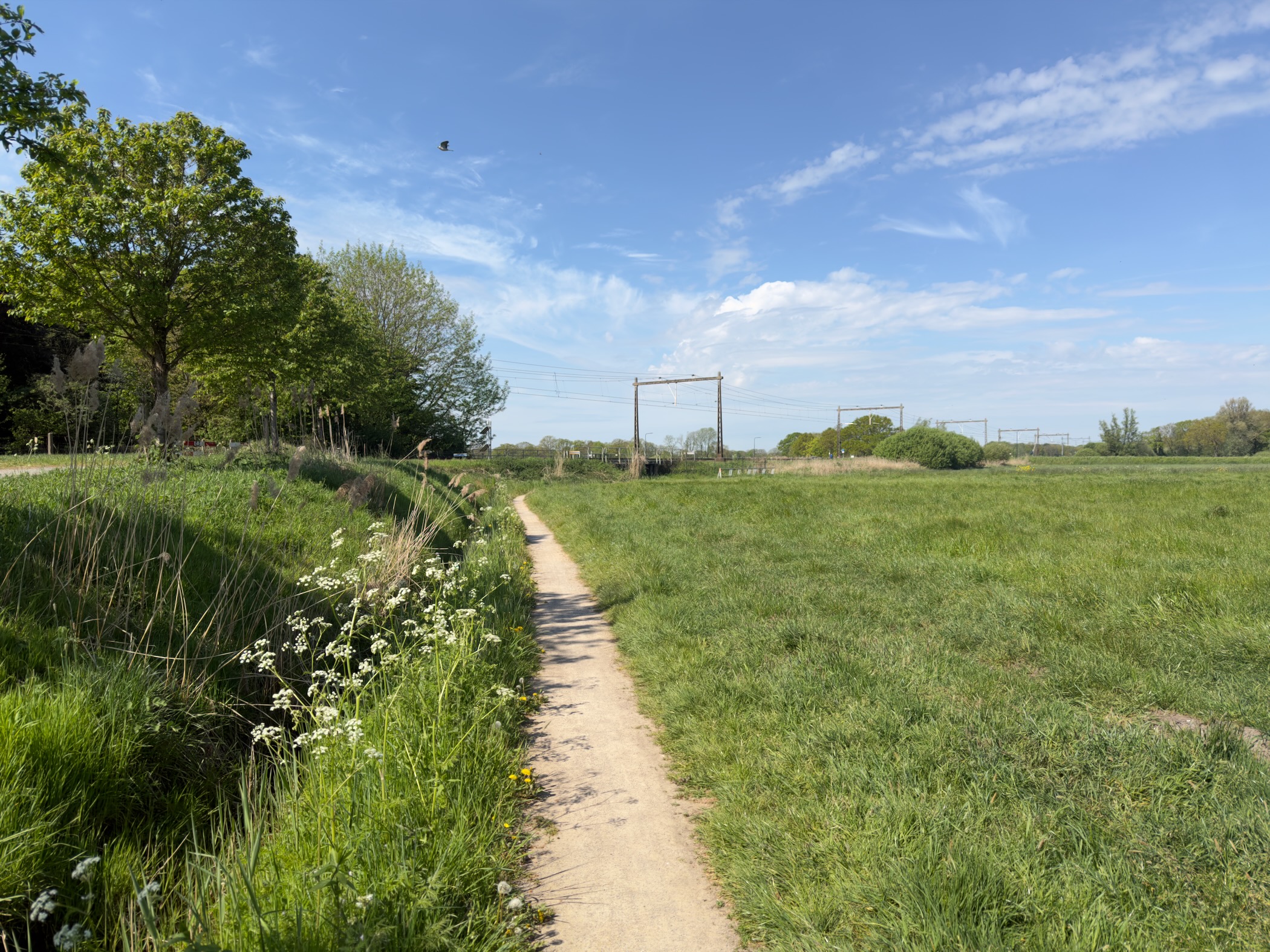 Narrow path crossing a wide meadow towards a distant railway gantry