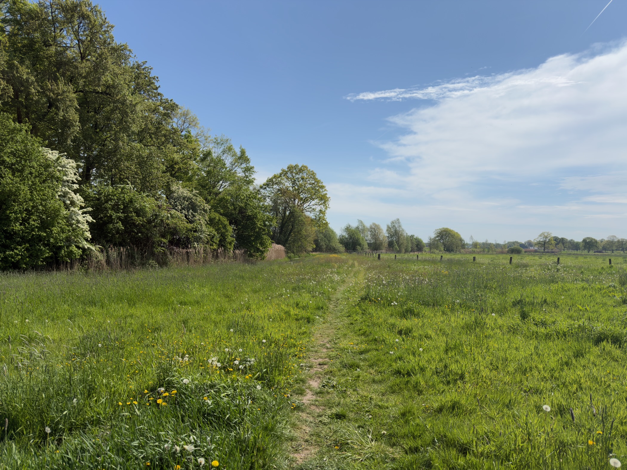 Faint trail through a wide meadow with woodland on the left and open fields on the right