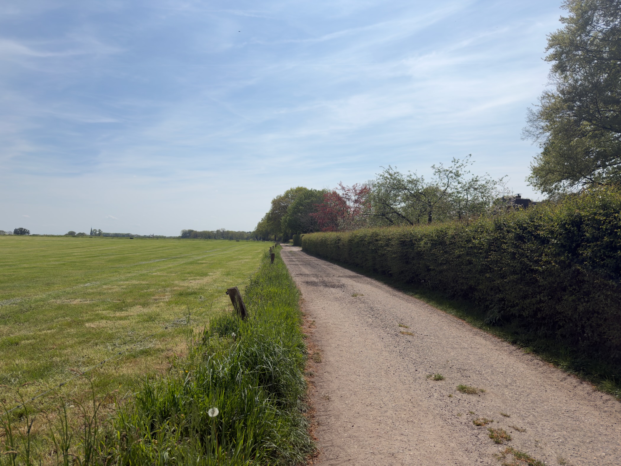 Gravel track running beside a clipped hedge with open meadow on the left