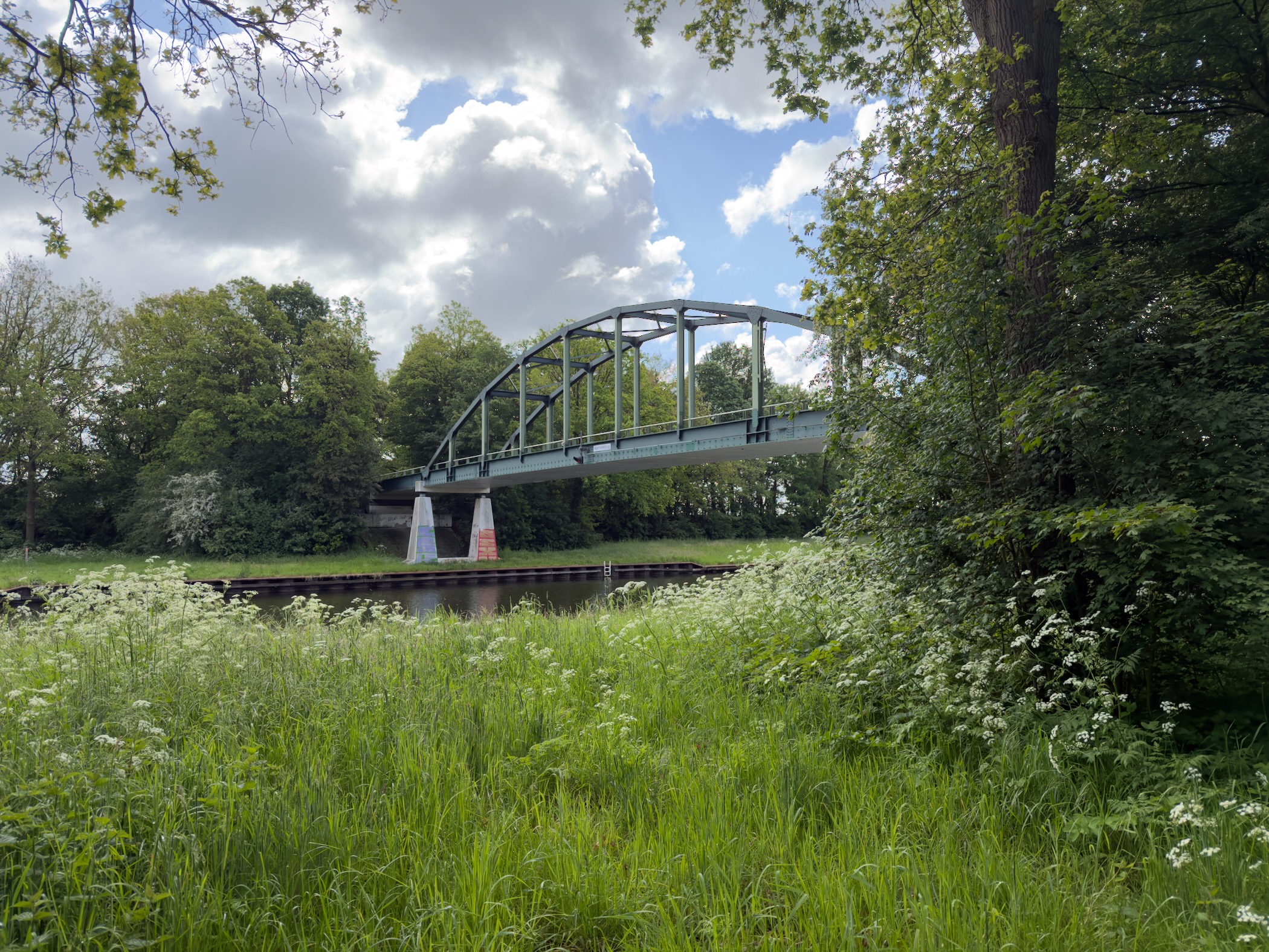 Steel arch bridge spanning a canal, seen across a meadow of cow parsley