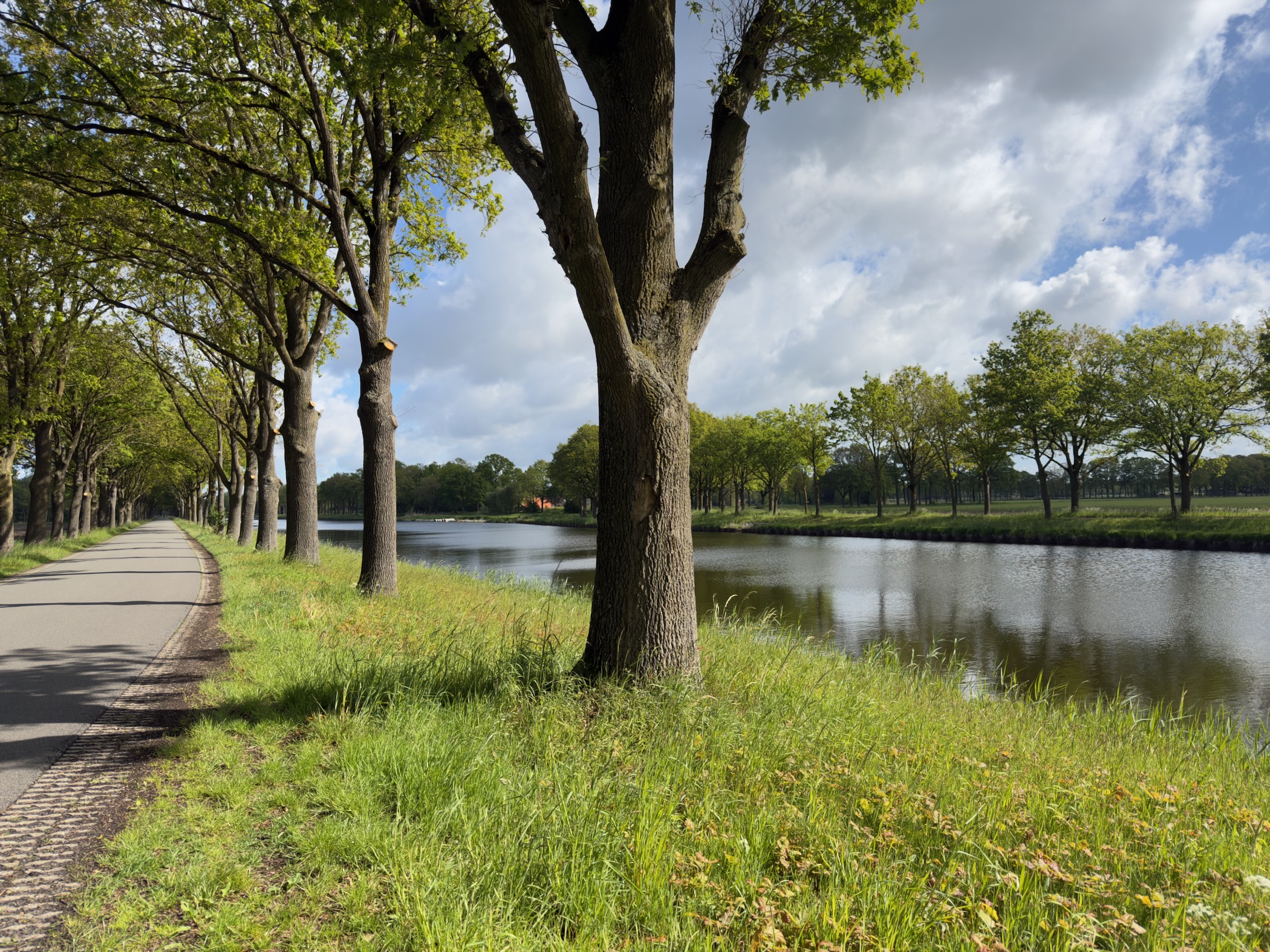 Cycle path alongside the Twentekanaal lined with mature trees stretching into the distance